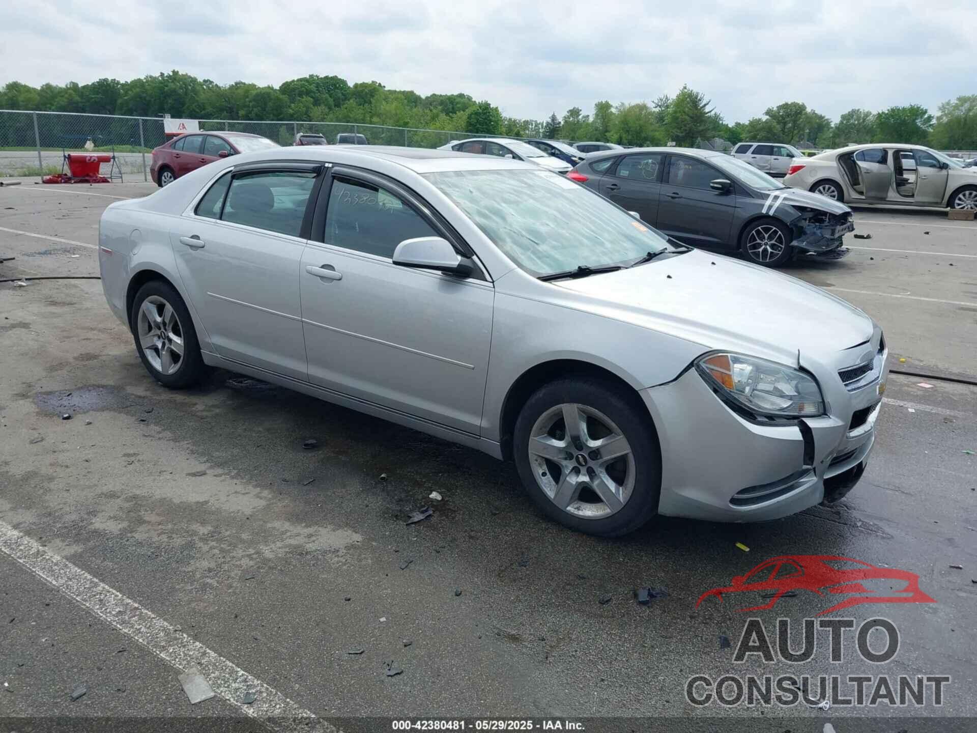 CHEVROLET MALIBU 2010 - 1G1ZC5EBXAF162036