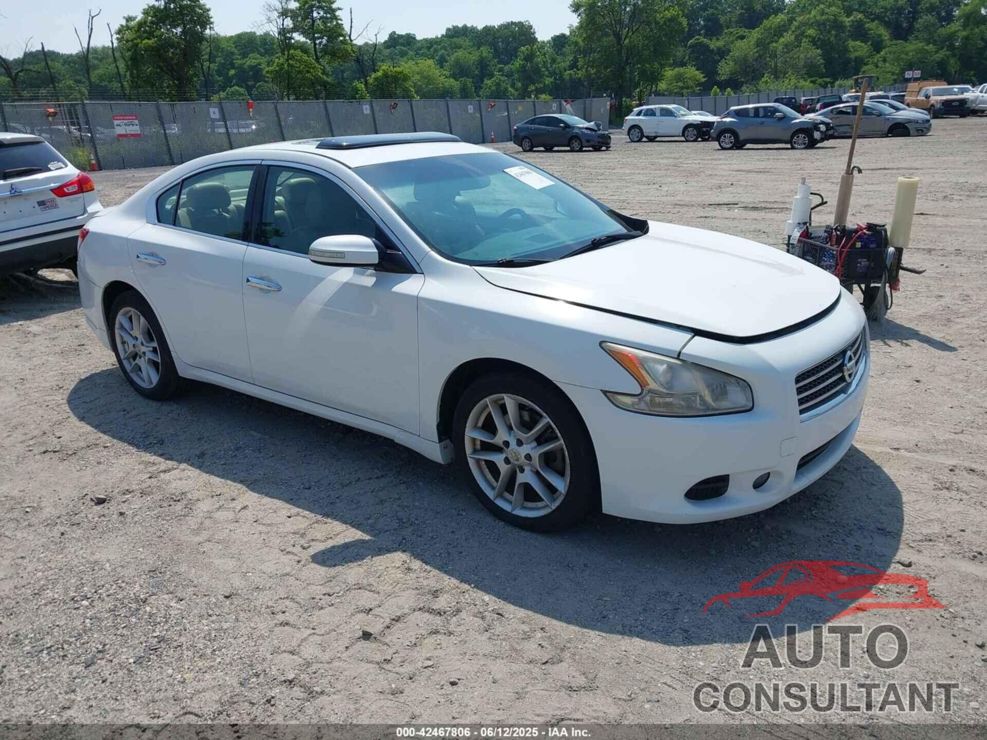 NISSAN MAXIMA 2009 - 1N4AA51E59C861653