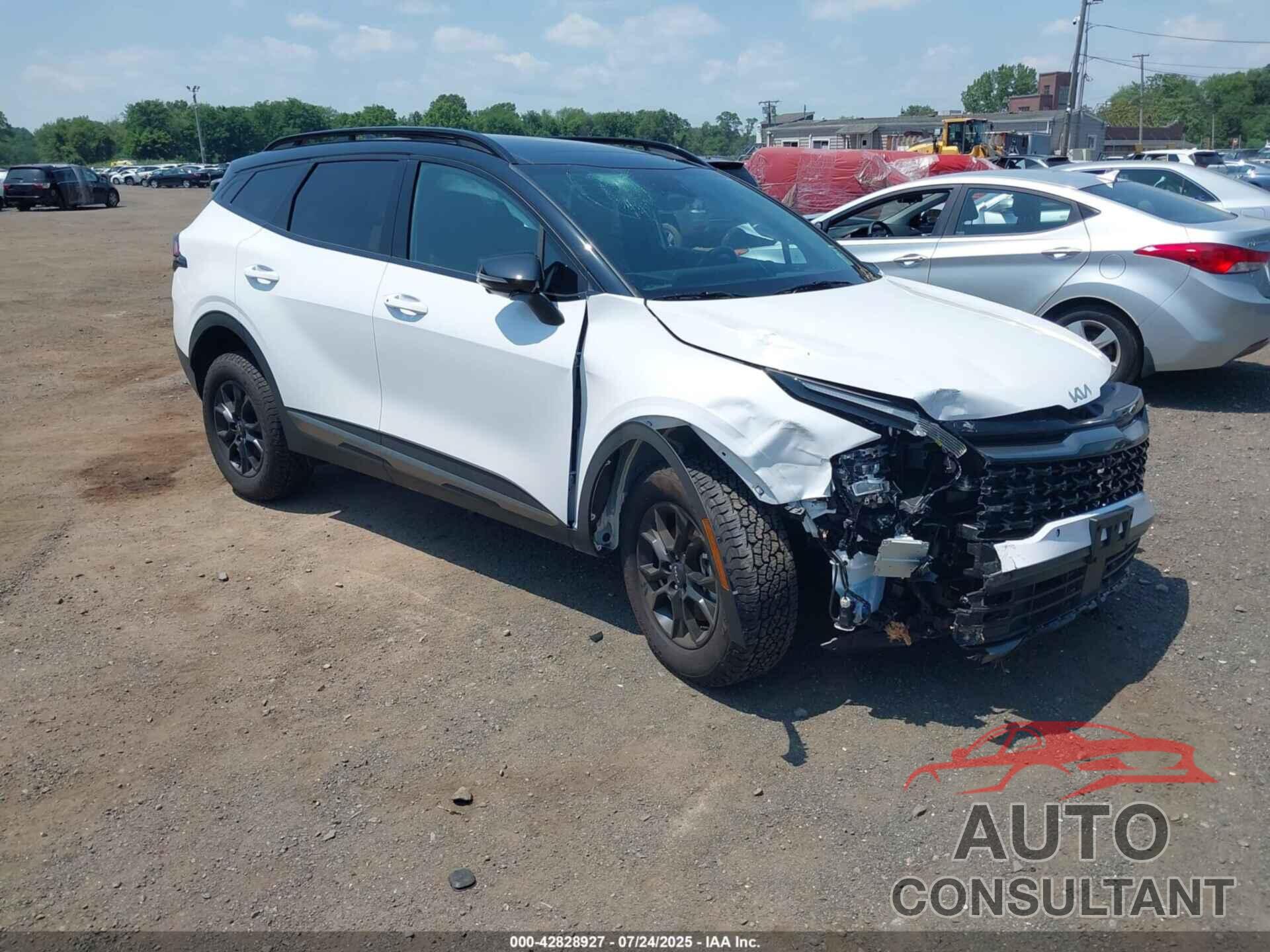 KIA SPORTAGE 2024 - 5XYK7CDF6RG229200