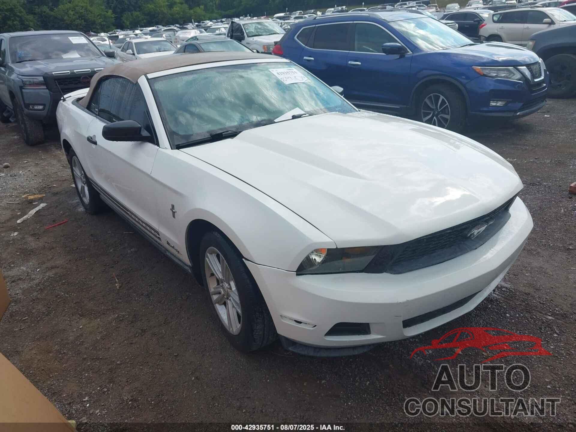 FORD MUSTANG 2010 - 1ZVBP8EN3A5155540