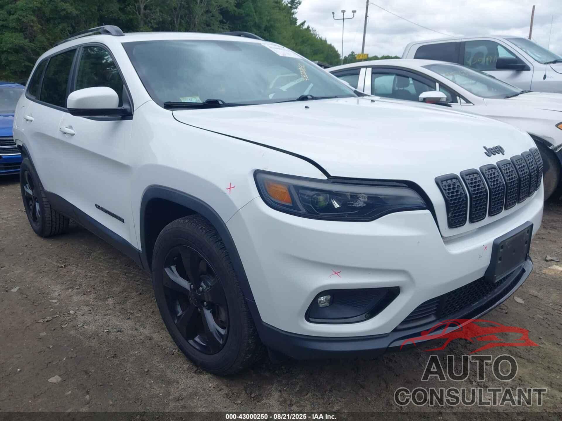 JEEP CHEROKEE 2019 - 1C4PJMLB1KD415078