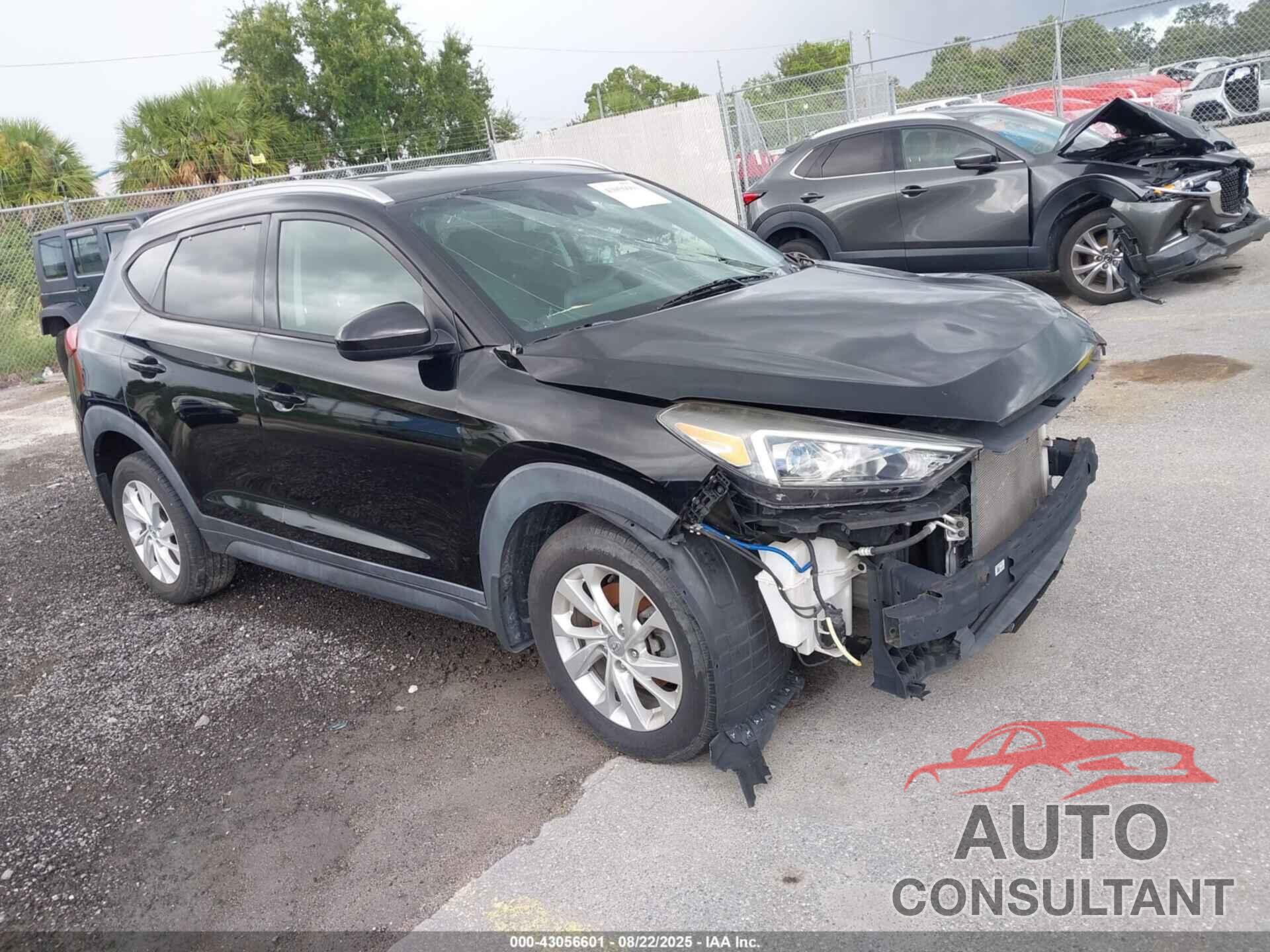 HYUNDAI TUCSON 2020 - KM8J33A46LU126046