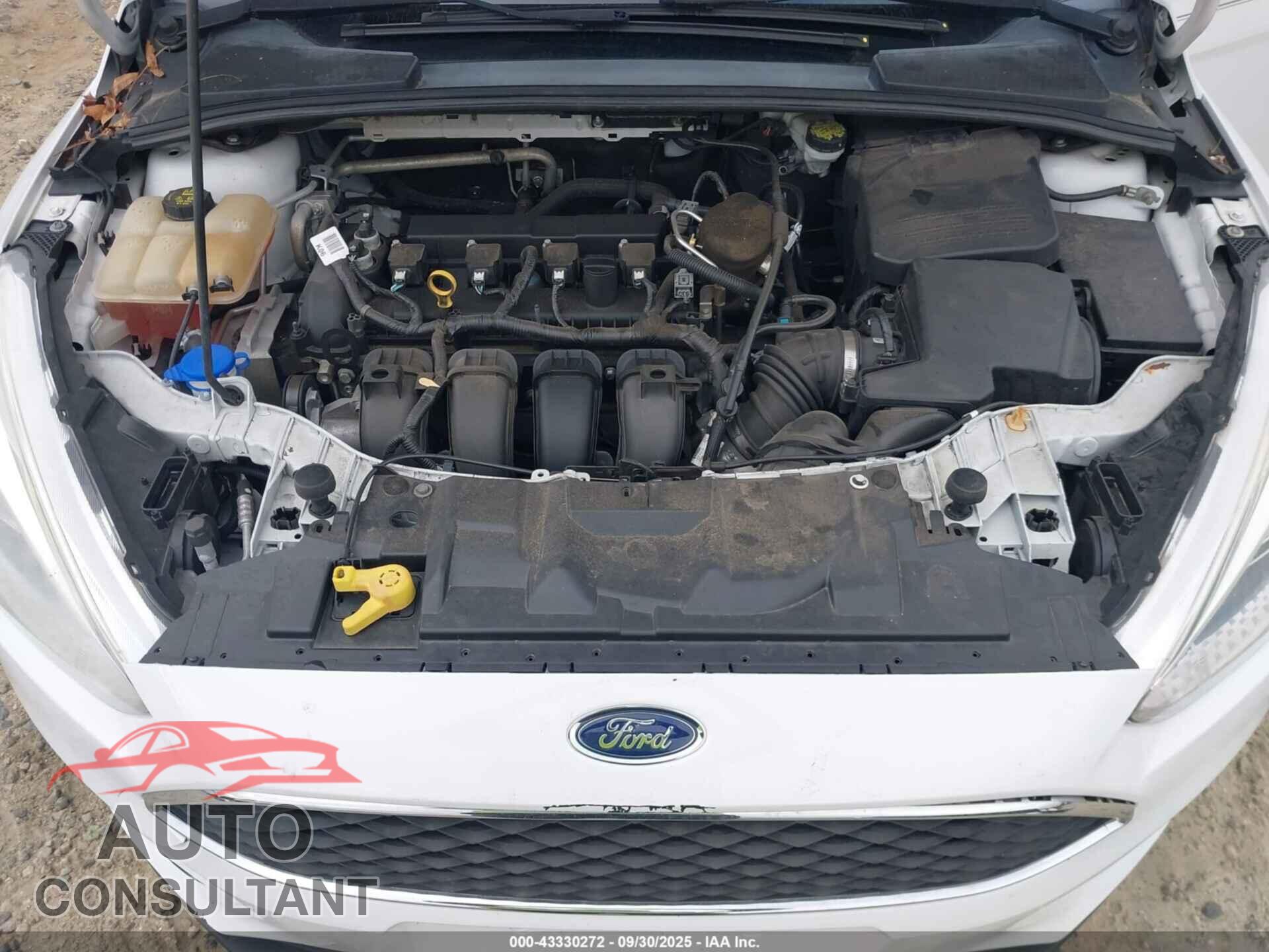 FORD FOCUS 2016 - 1FADP3F26GL235217