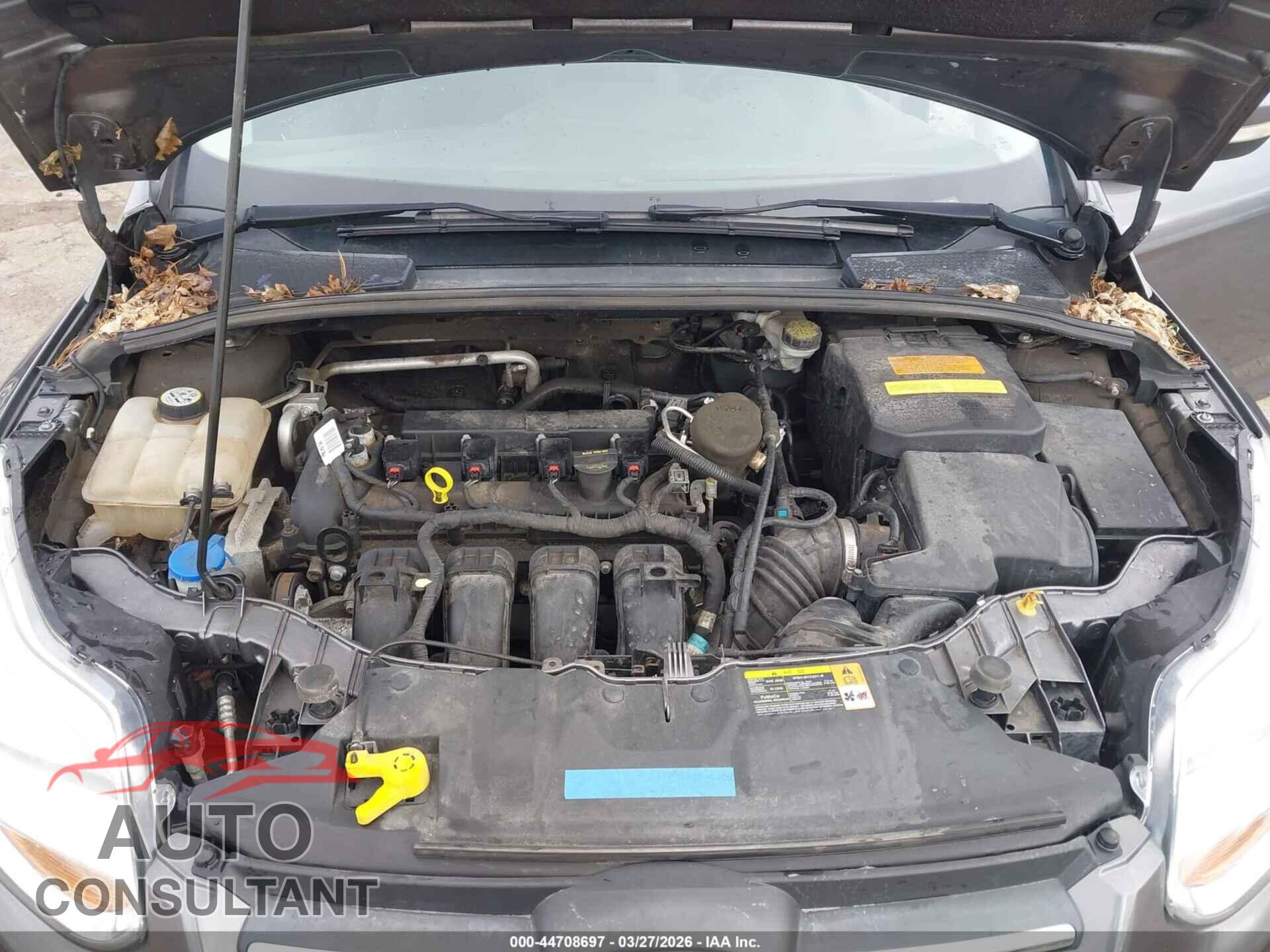 FORD FOCUS 2013 - 1FADP3F28DL181995