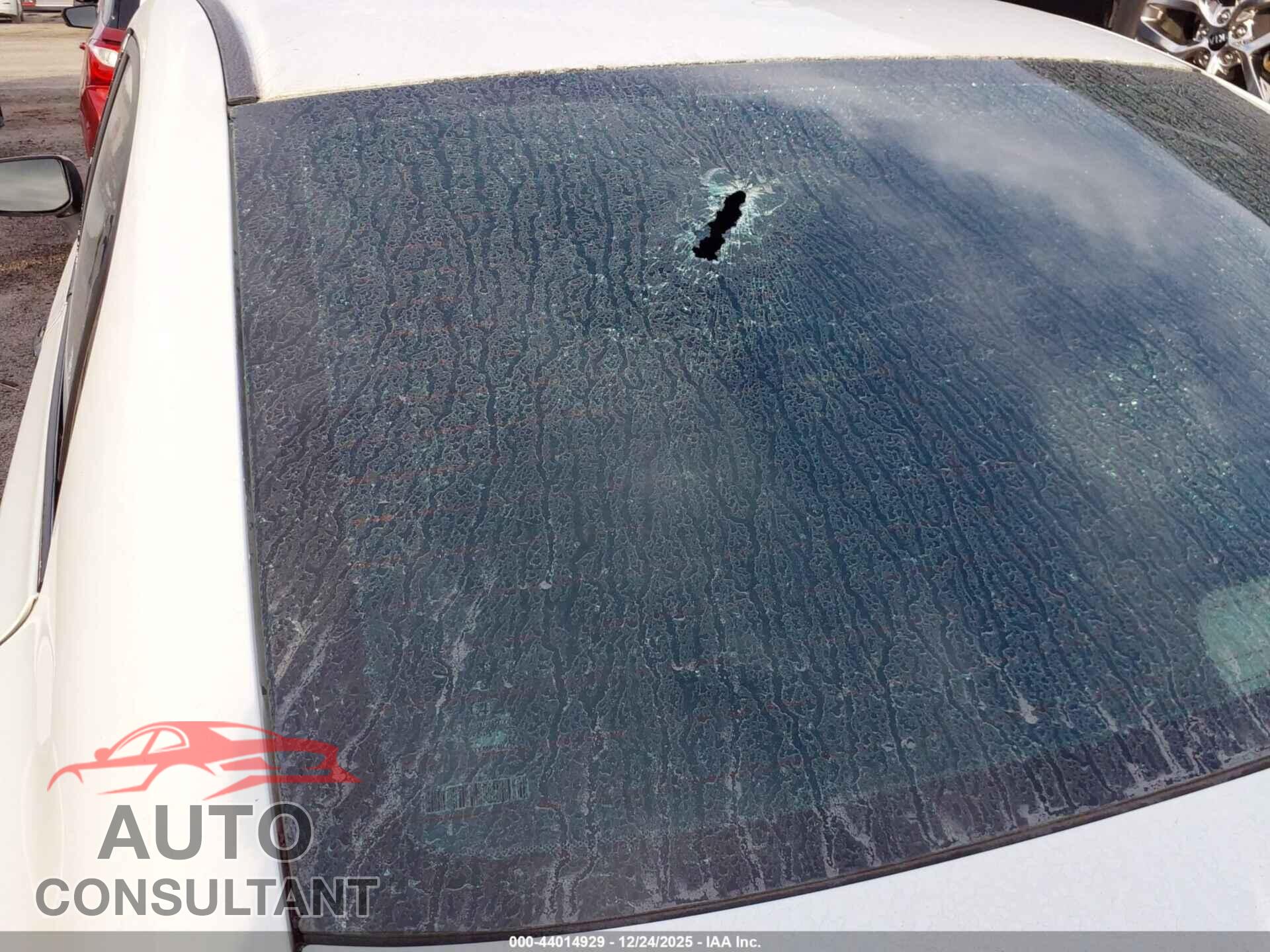 HONDA CIVIC 2010 - 19XFA1F3XAE006234