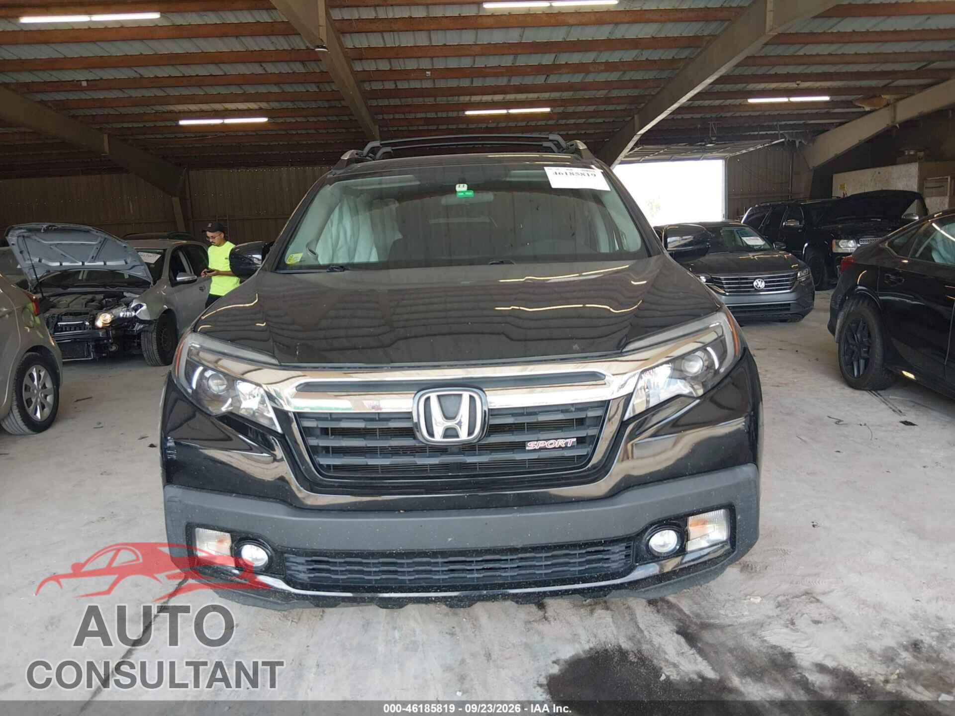 HONDA RIDGELINE 2019 - 5FPYK3F17KB046547