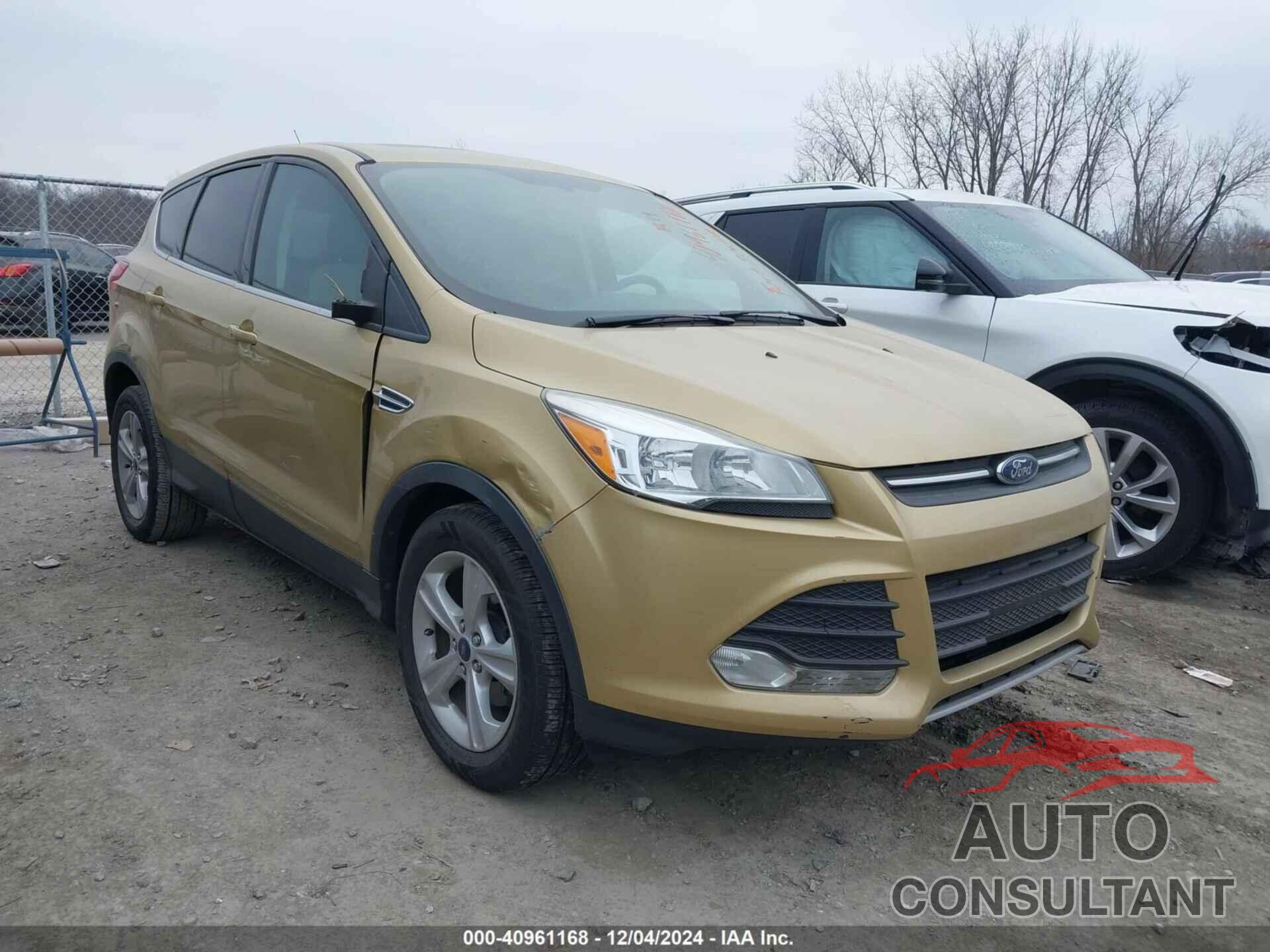 FORD ESCAPE 2014 - 1FMCU0GX0EUC43064