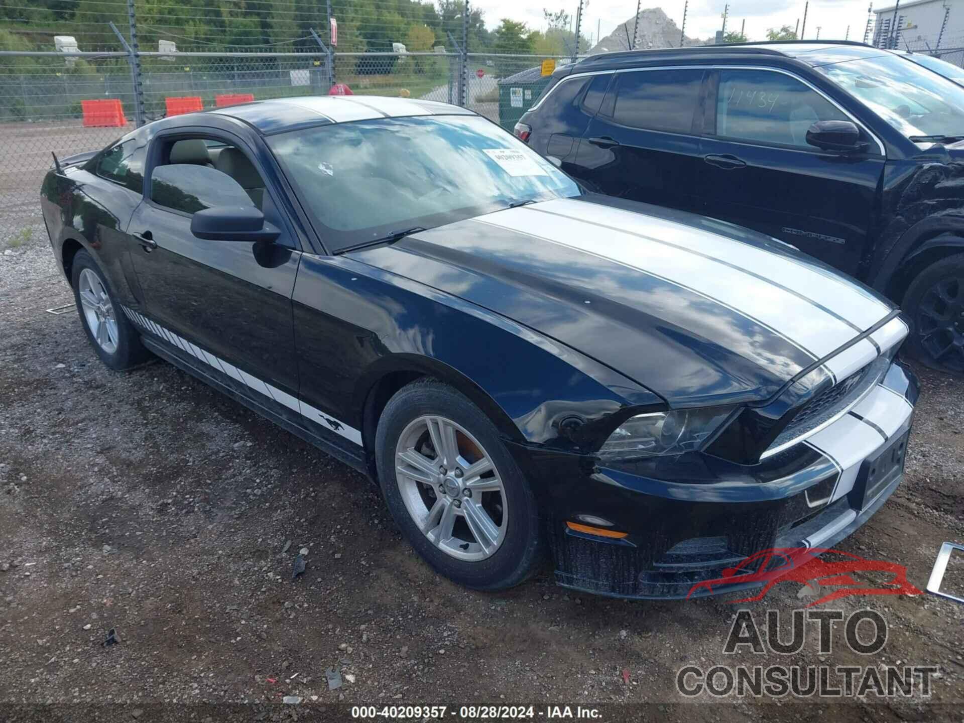 FORD MUSTANG 2013 - 1ZVBP8AM6D5207812