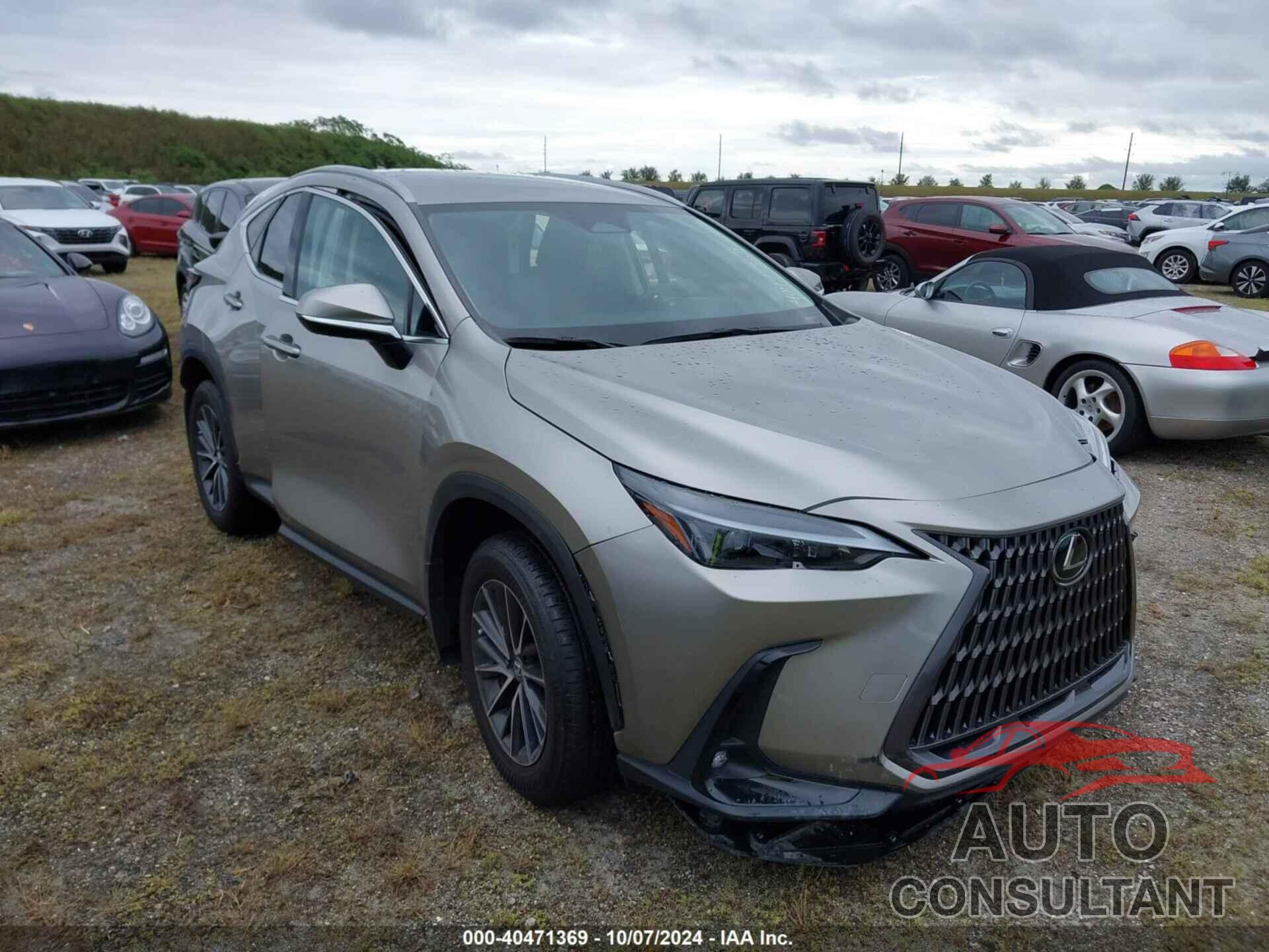 LEXUS NX 250 2024 - 2T2ADCAZ0RC008282