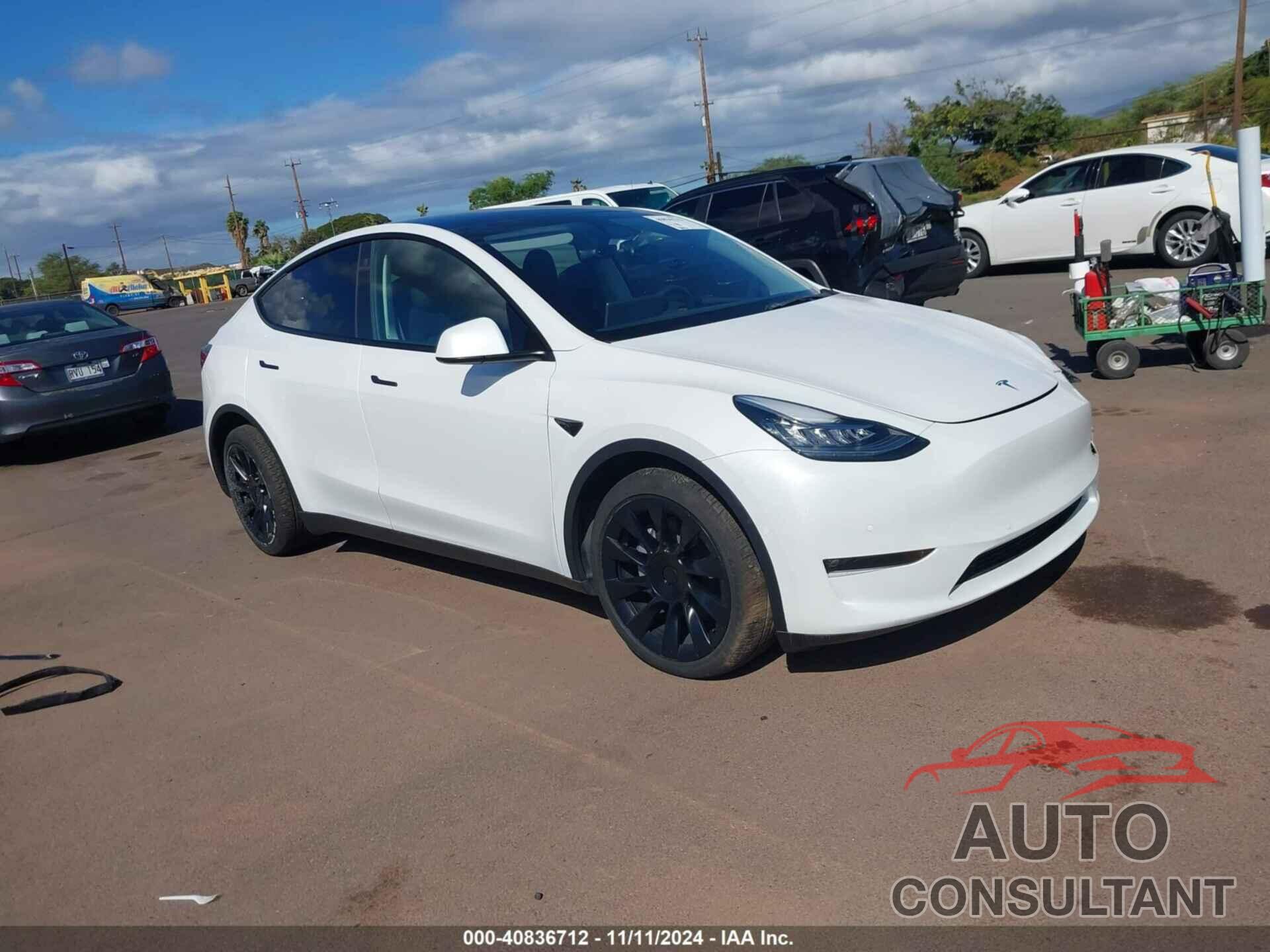 TESLA MODEL Y 2022 - 7SAYGDEE8NF573282