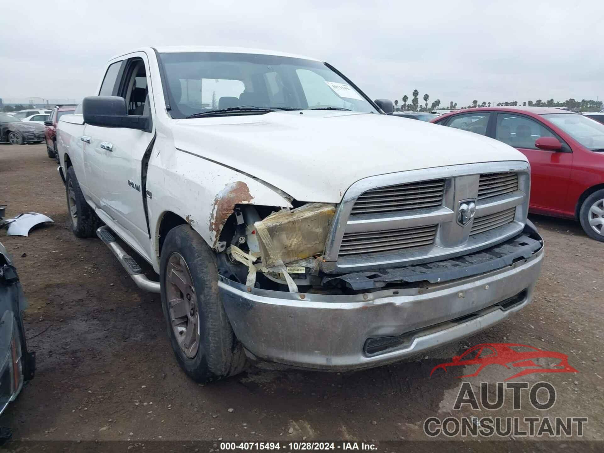 DODGE RAM 1500 2009 - 1D3HB18T69S812221