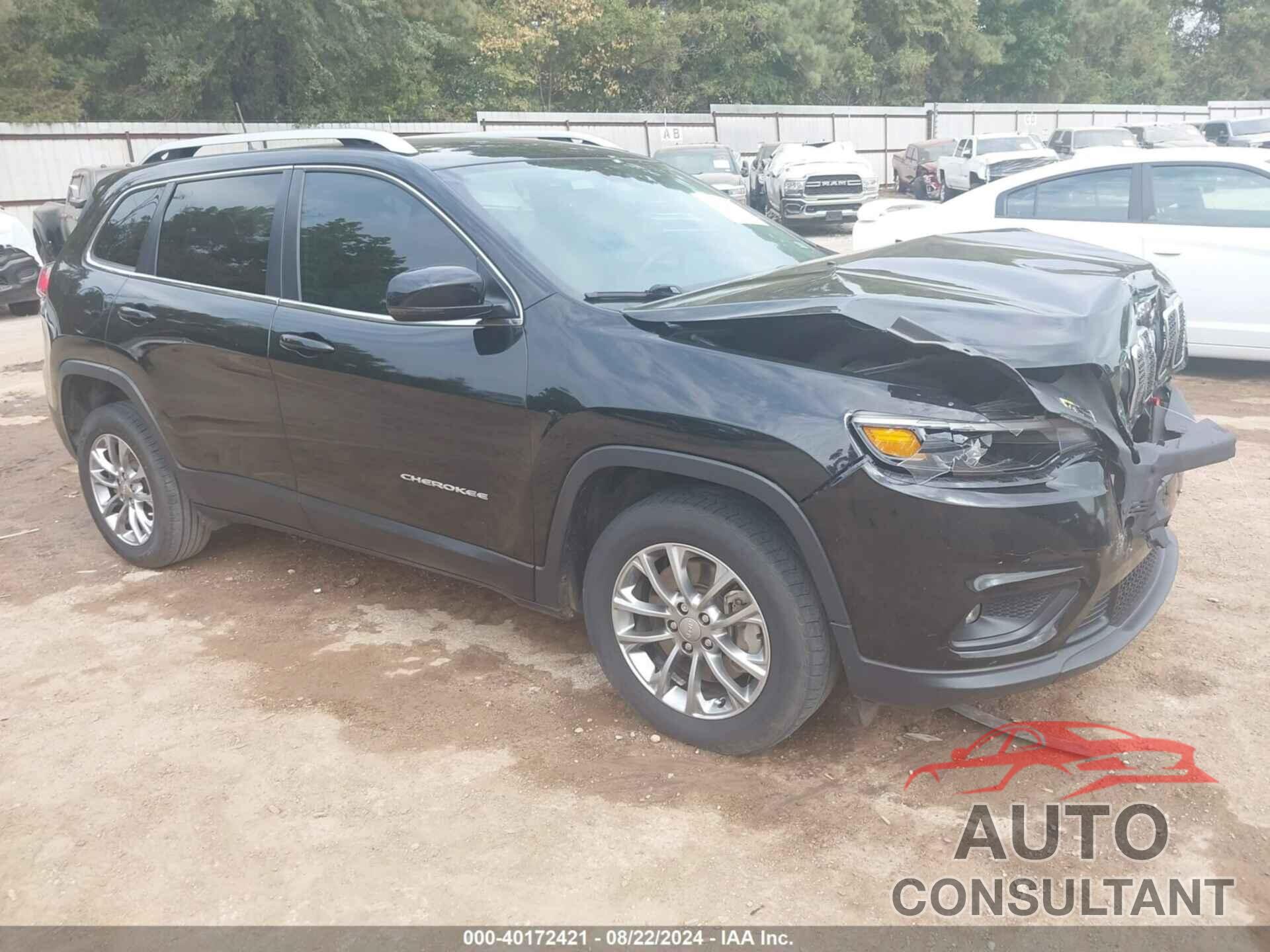 JEEP CHEROKEE 2019 - 1C4PJLLX8KD280283