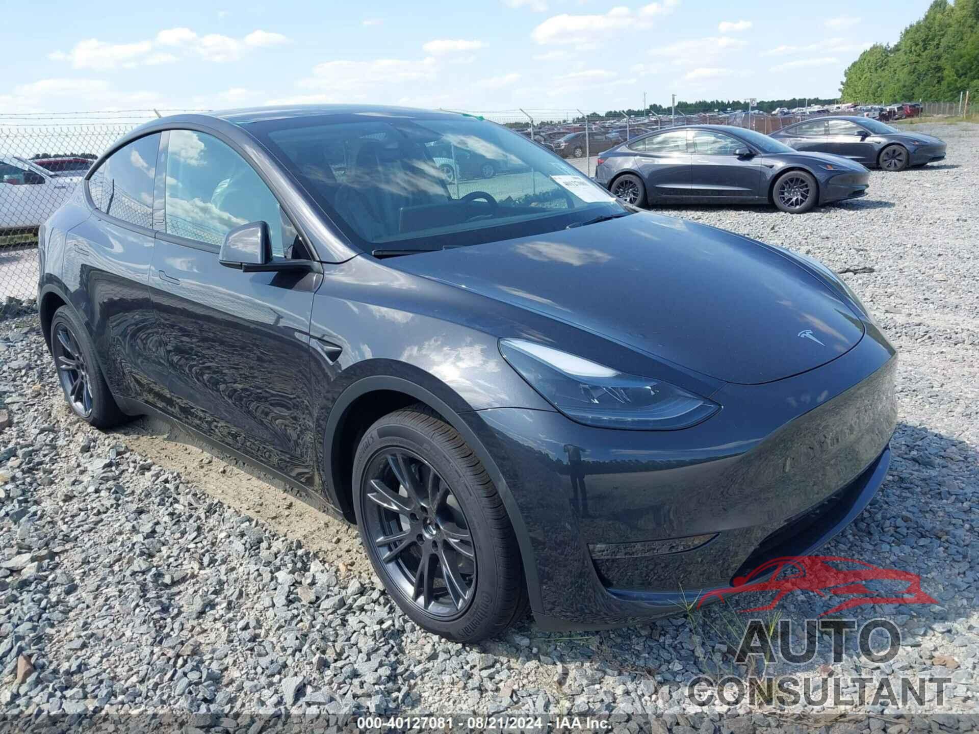 TESLA MODEL Y 2024 - 7SAYGAEE7RF155624