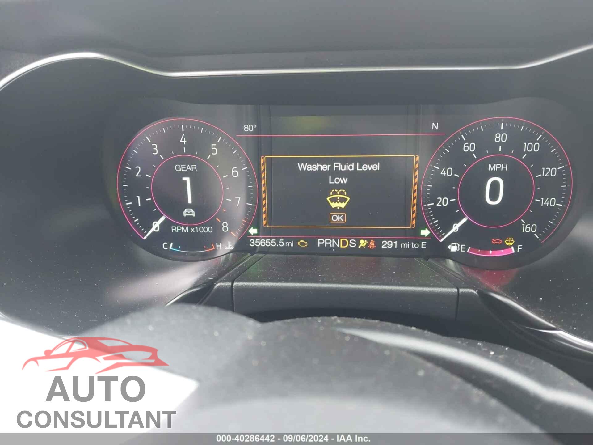 FORD MUSTANG 2019 - 1FA6P8CF8K5163608