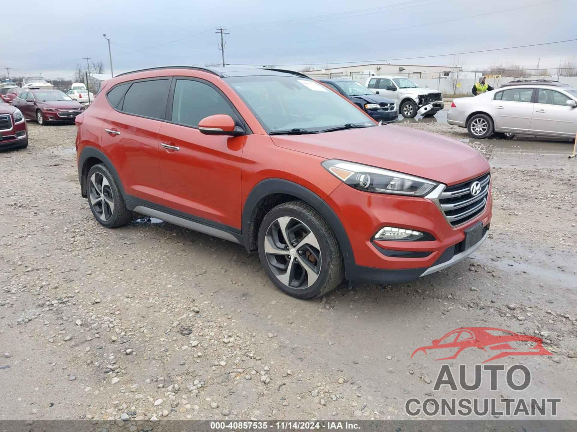 HYUNDAI TUCSON 2017 - KM8J3CA29HU321791