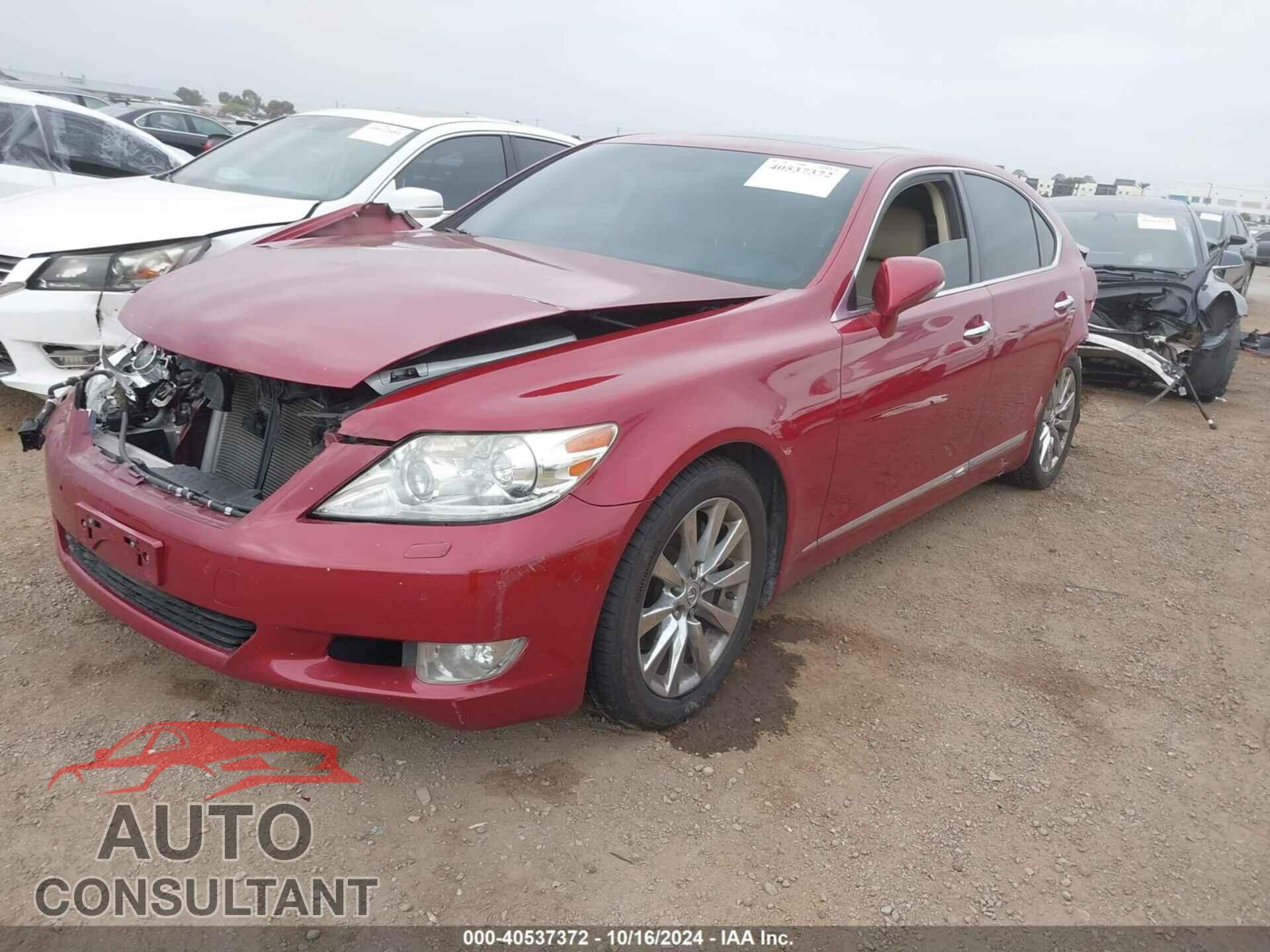 LEXUS LS 460 2011 - JTHBL5EF9B5102427