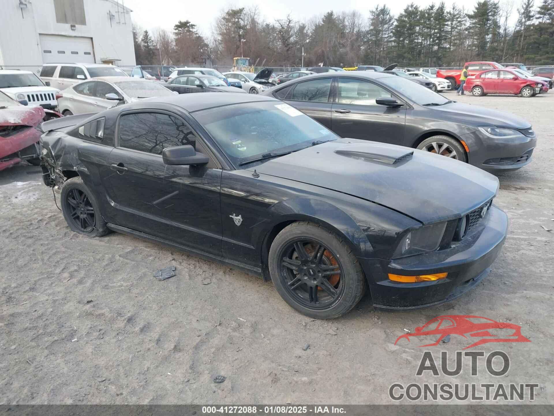 FORD MUSTANG 2009 - 1ZVHT82H495107545