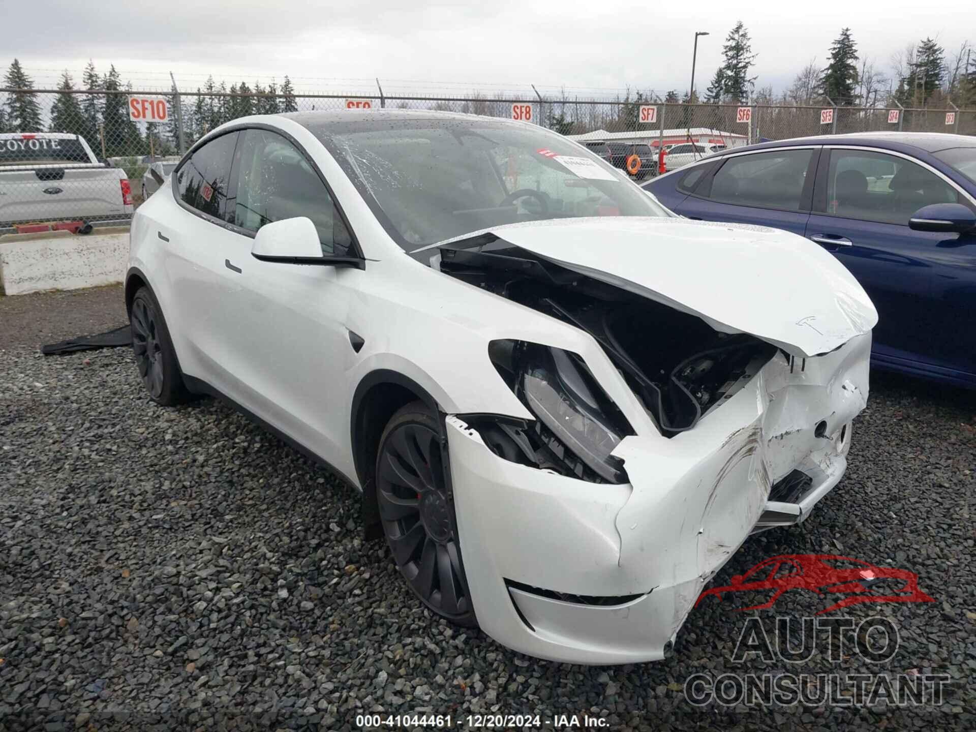 TESLA MODEL Y 2024 - 7SAYGDEF3RF195077