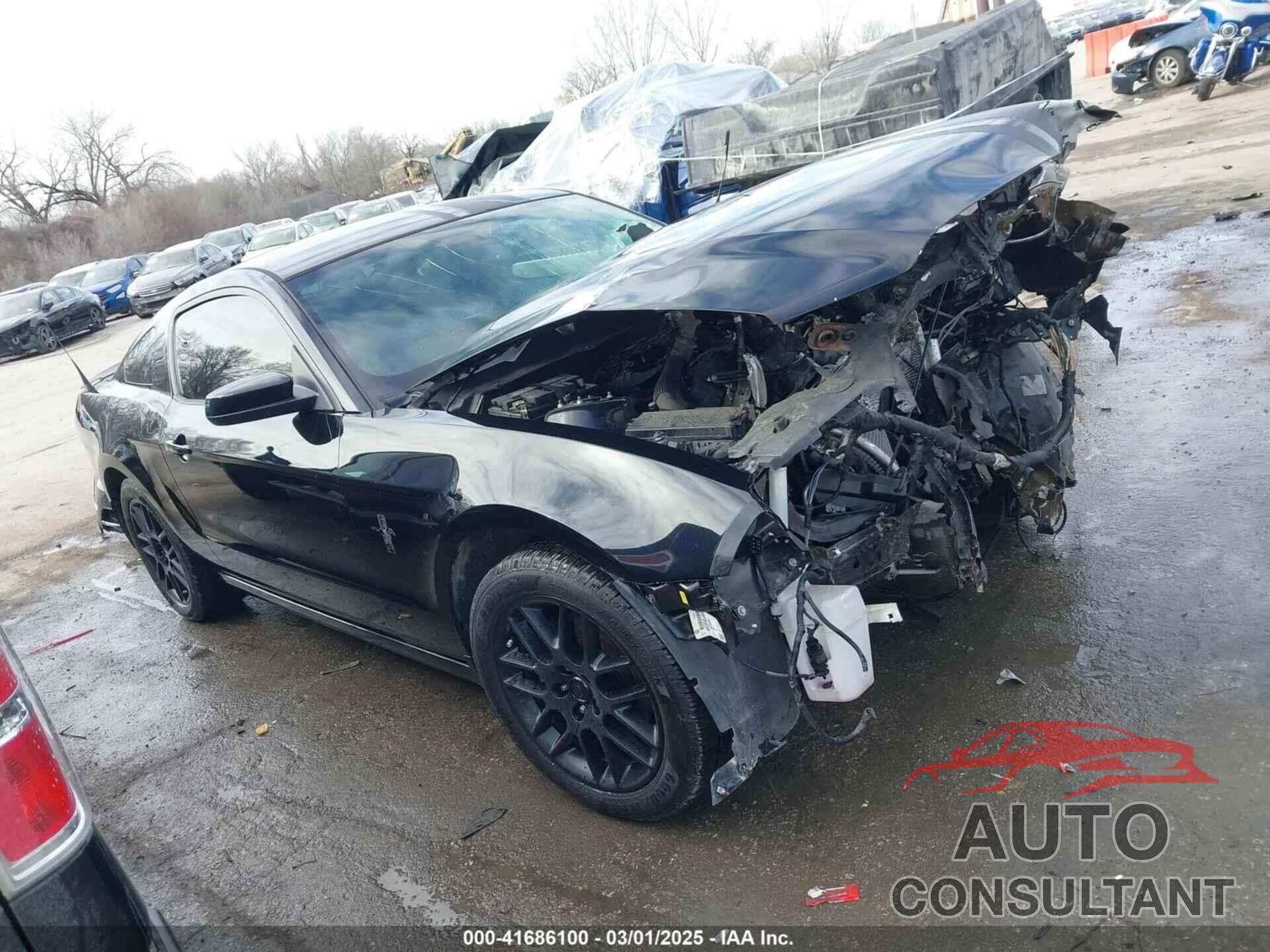 FORD MUSTANG 2013 - 1ZVBP8AM4D5221420