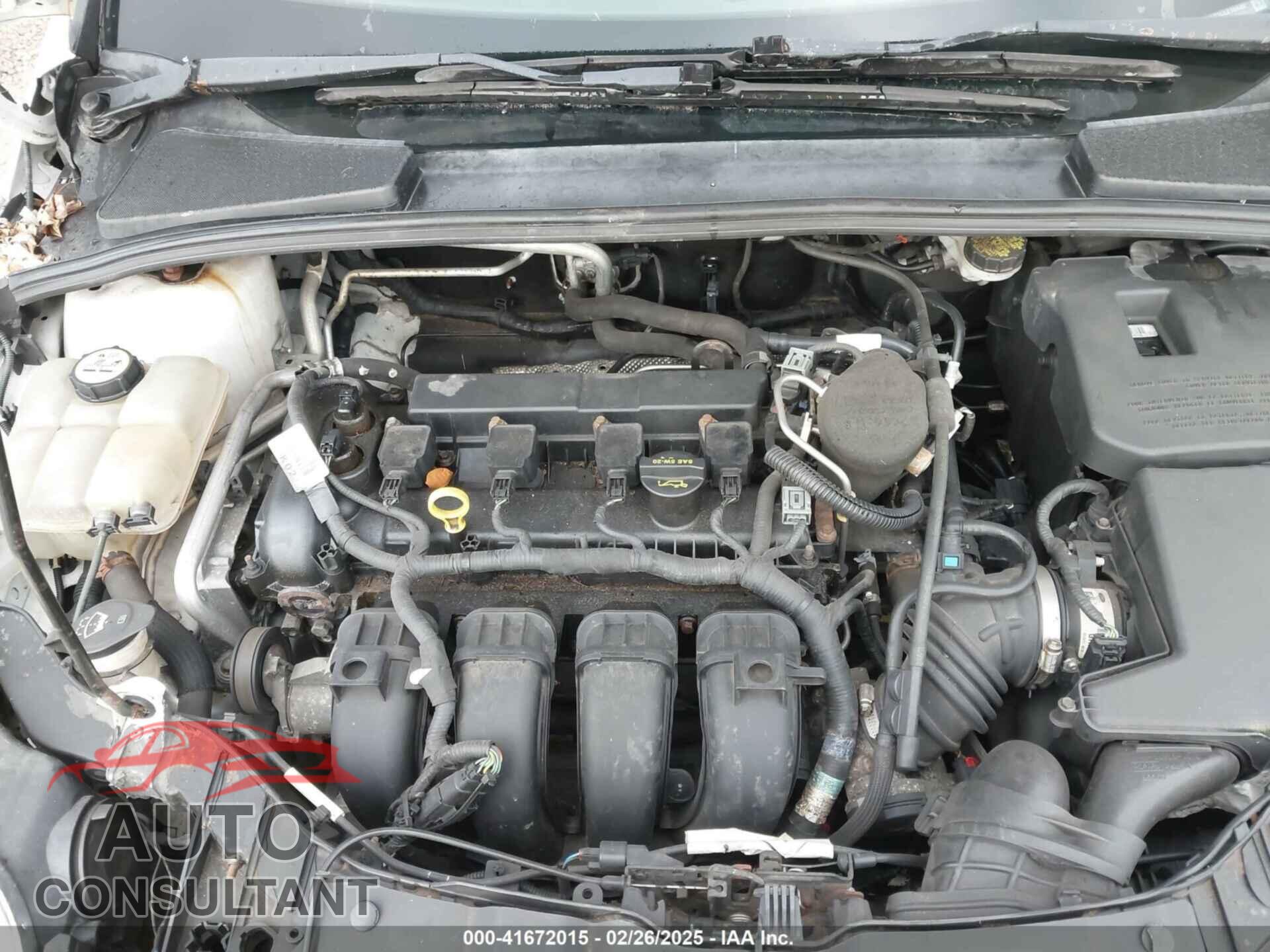FORD FOCUS 2012 - 1FAHP3F21CL216439