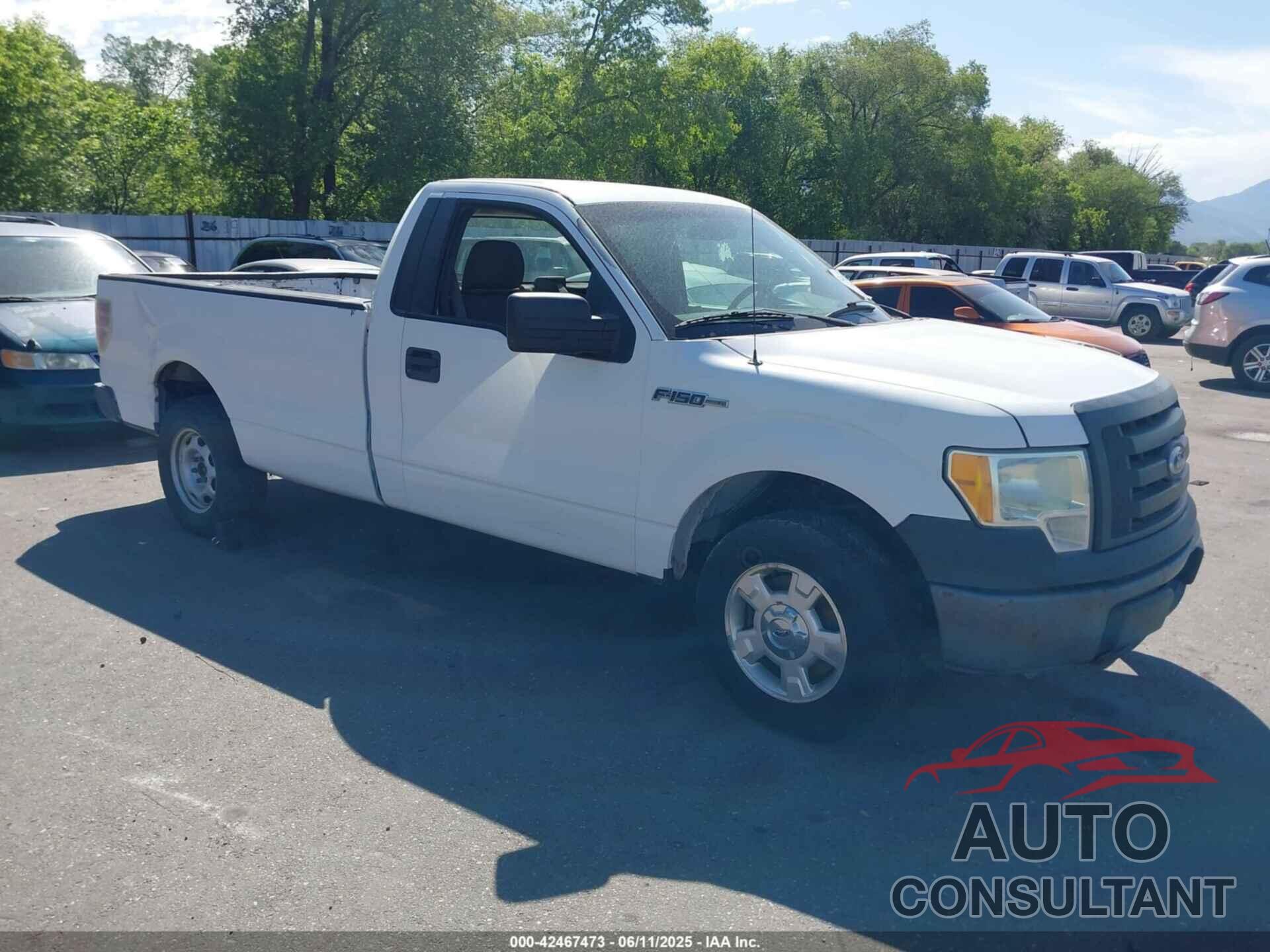FORD F-150 2010 - 1FTMF1CW8AKE50488