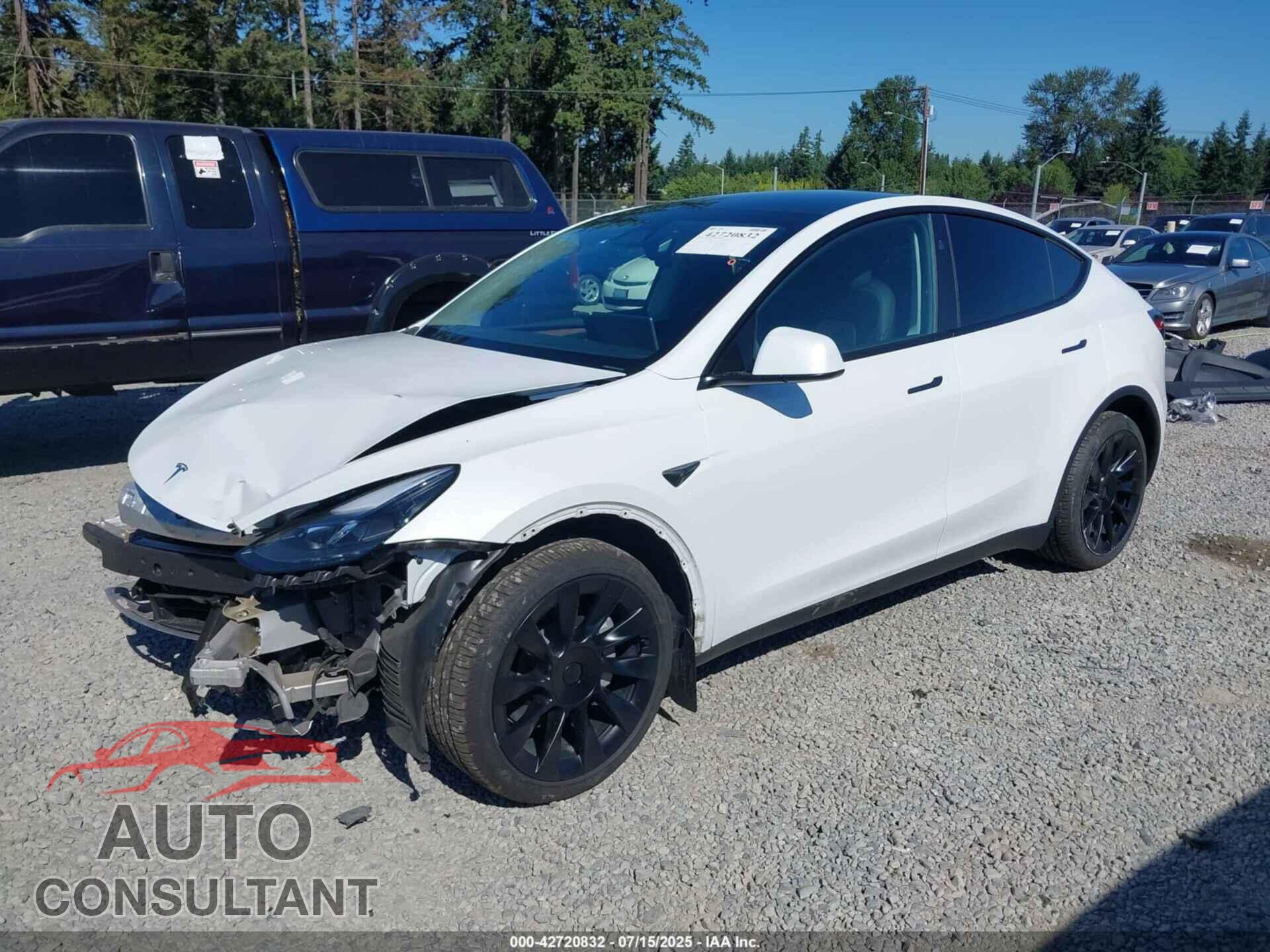 TESLA MODEL Y 2024 - 7SAYGDEEXRF164237