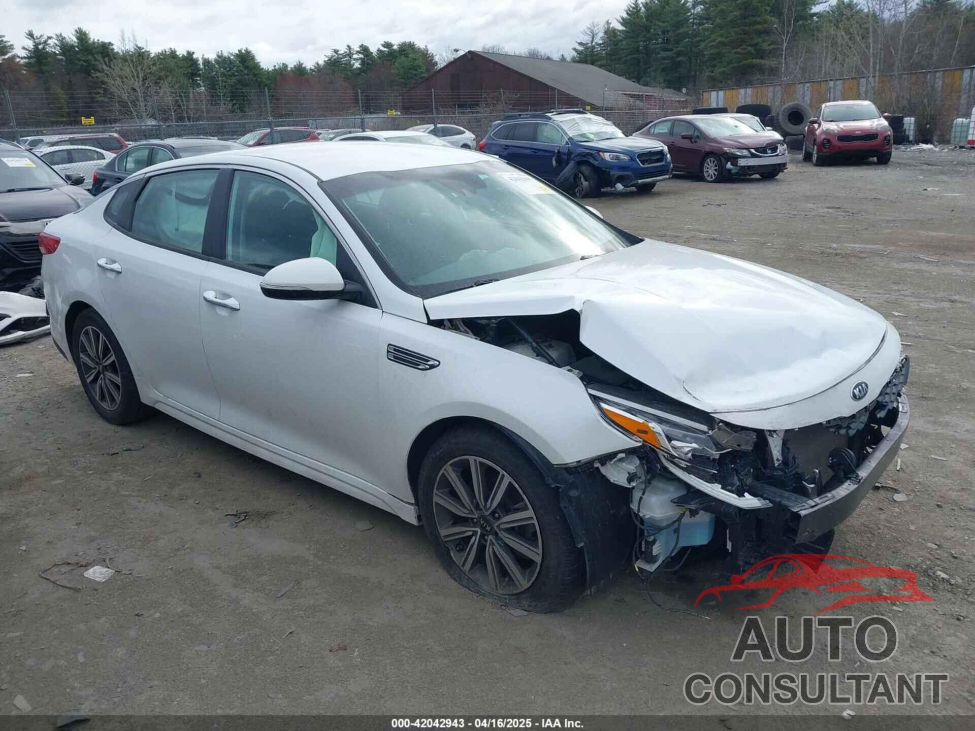 KIA OPTIMA 2019 - 5XXGT4L35KG359834