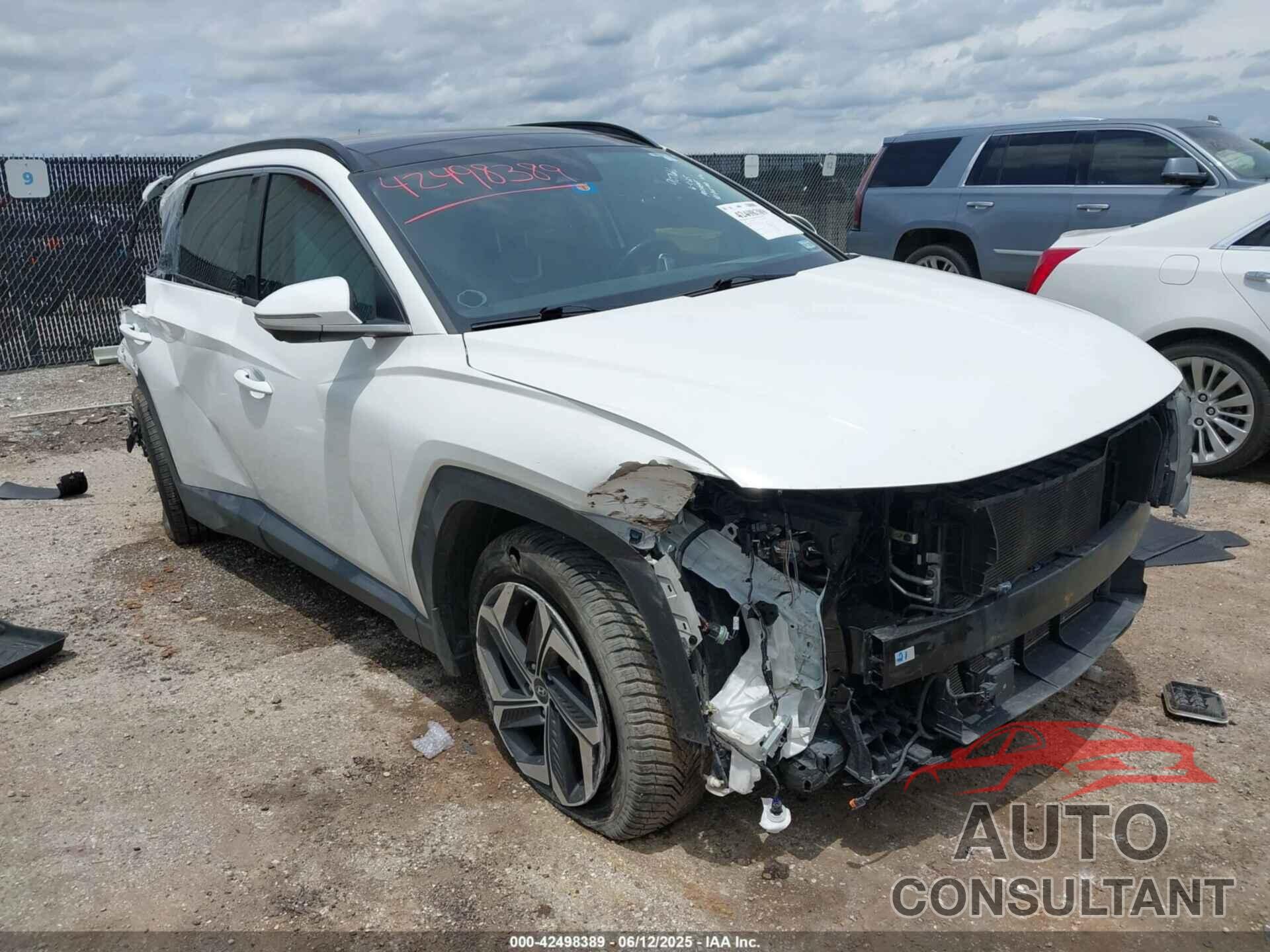 HYUNDAI TUCSON 2023 - 5NMJECAE6PH224322