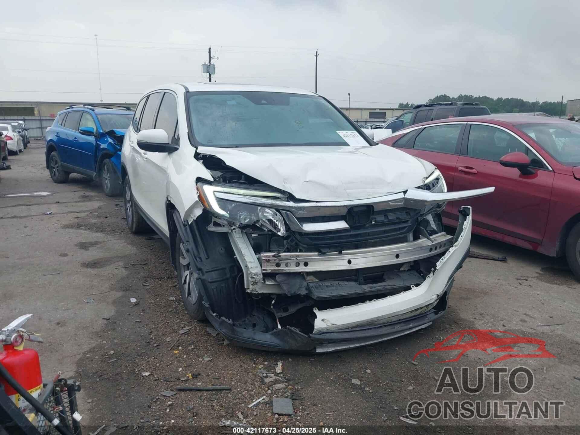 HONDA PILOT 2019 - 5FNYF6H52KB025930