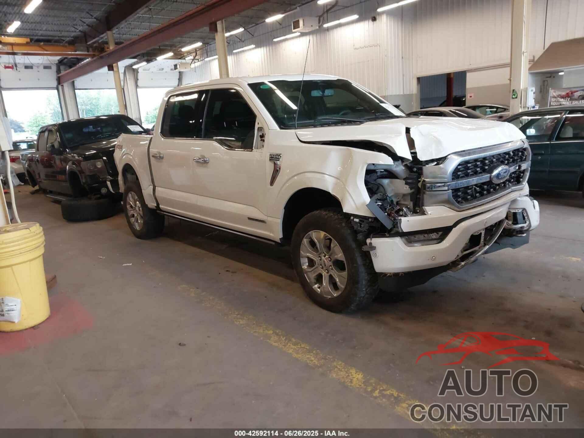 FORD F-150 2023 - 1FTFW1ED3PFA87037