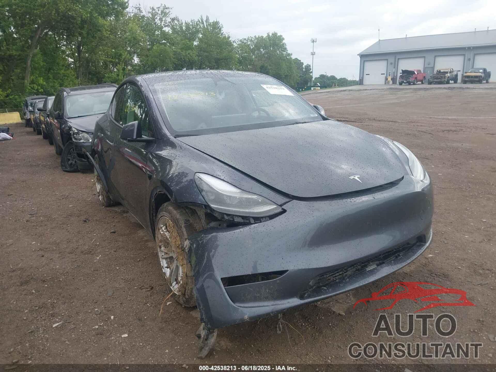 TESLA MODEL Y 2023 - 7SAYGDEE3PF804236