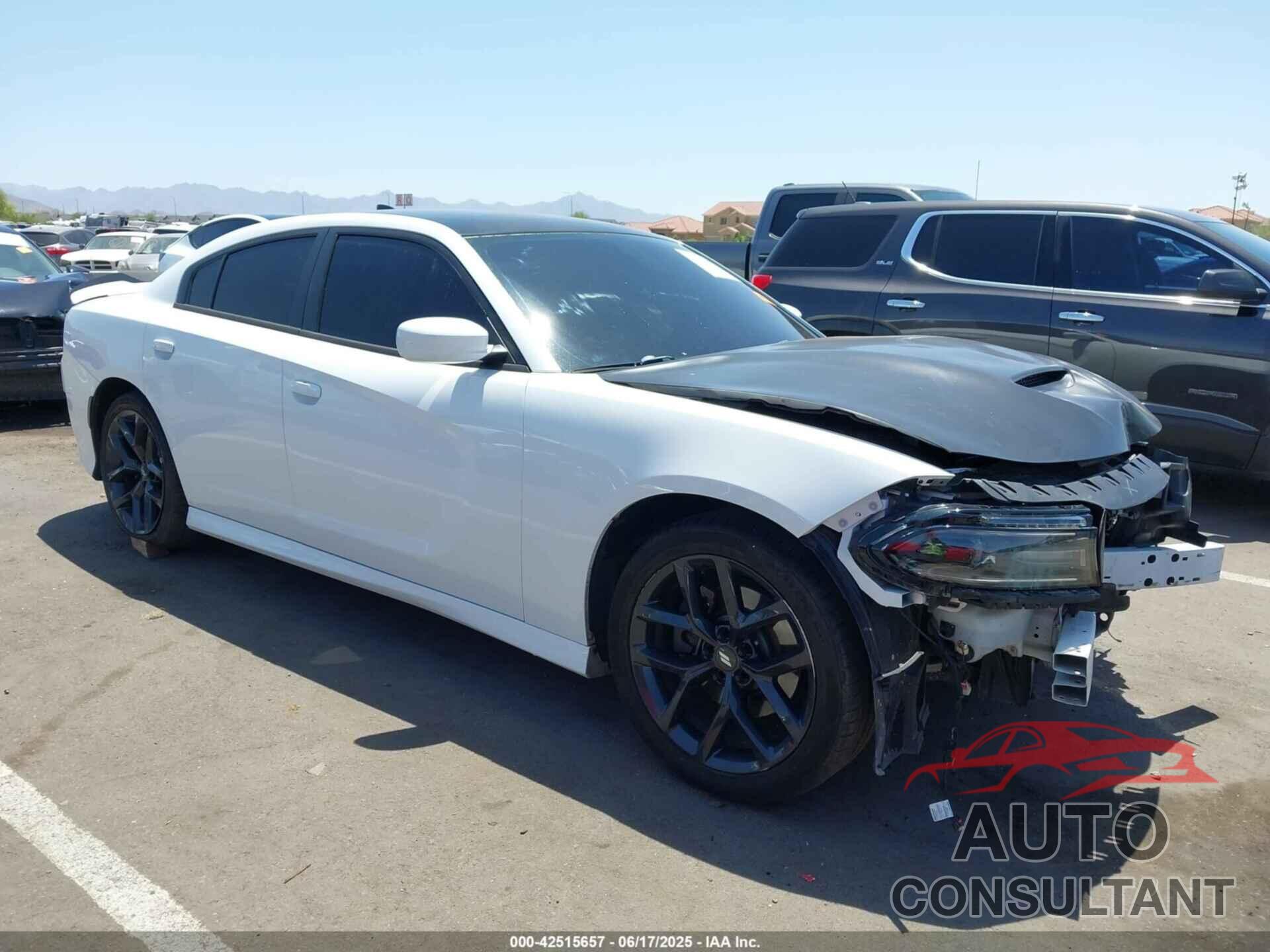DODGE CHARGER 2019 - 2C3CDXCT1KH575727
