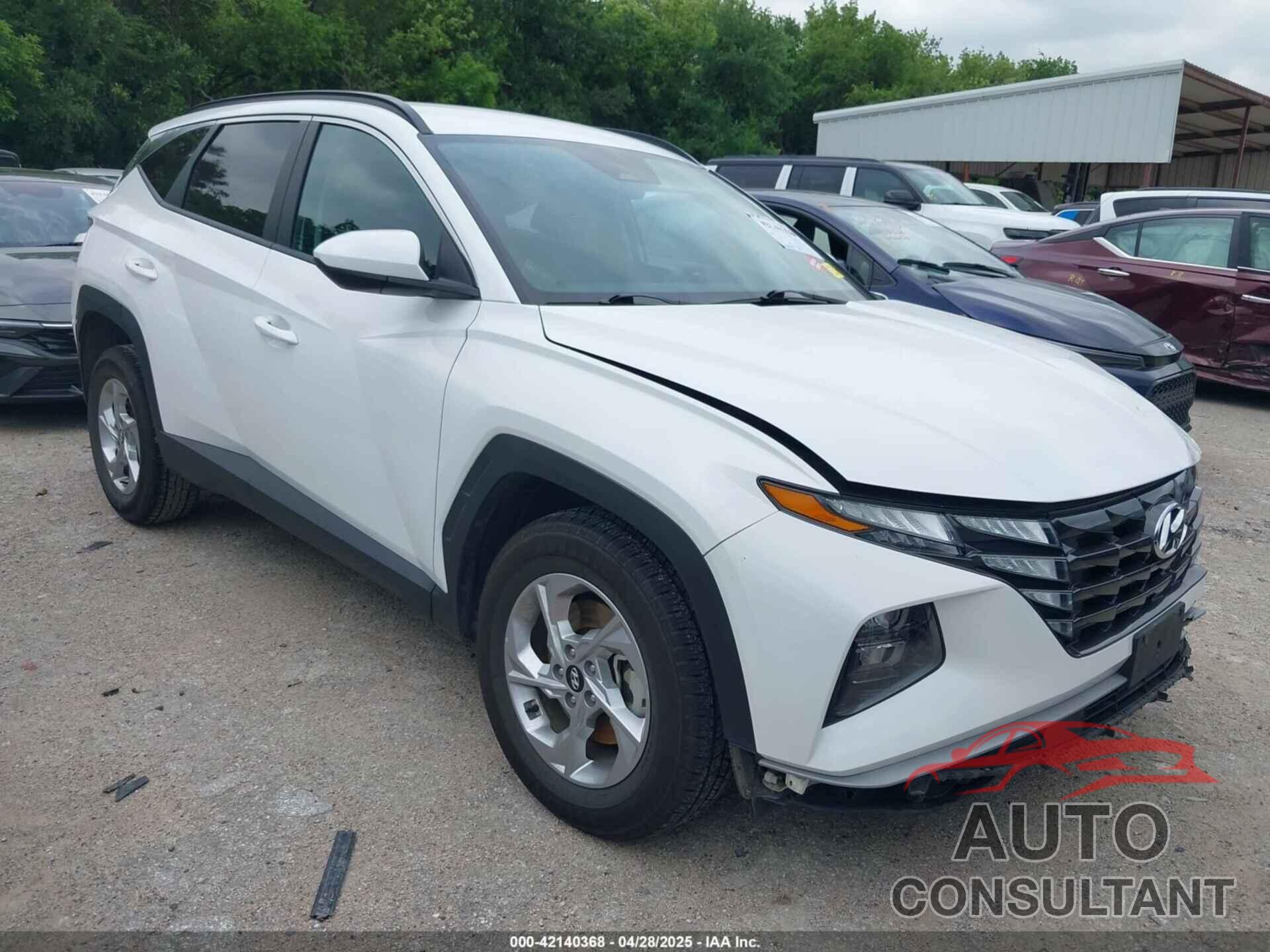 HYUNDAI TUCSON 2024 - 5NMJBCDE1RH295953
