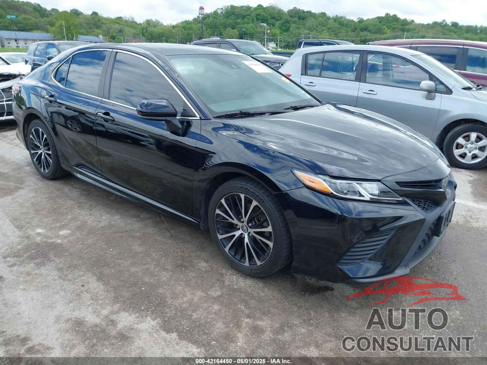 TOYOTA CAMRY 2019 - 4T1B11HKXKU741748