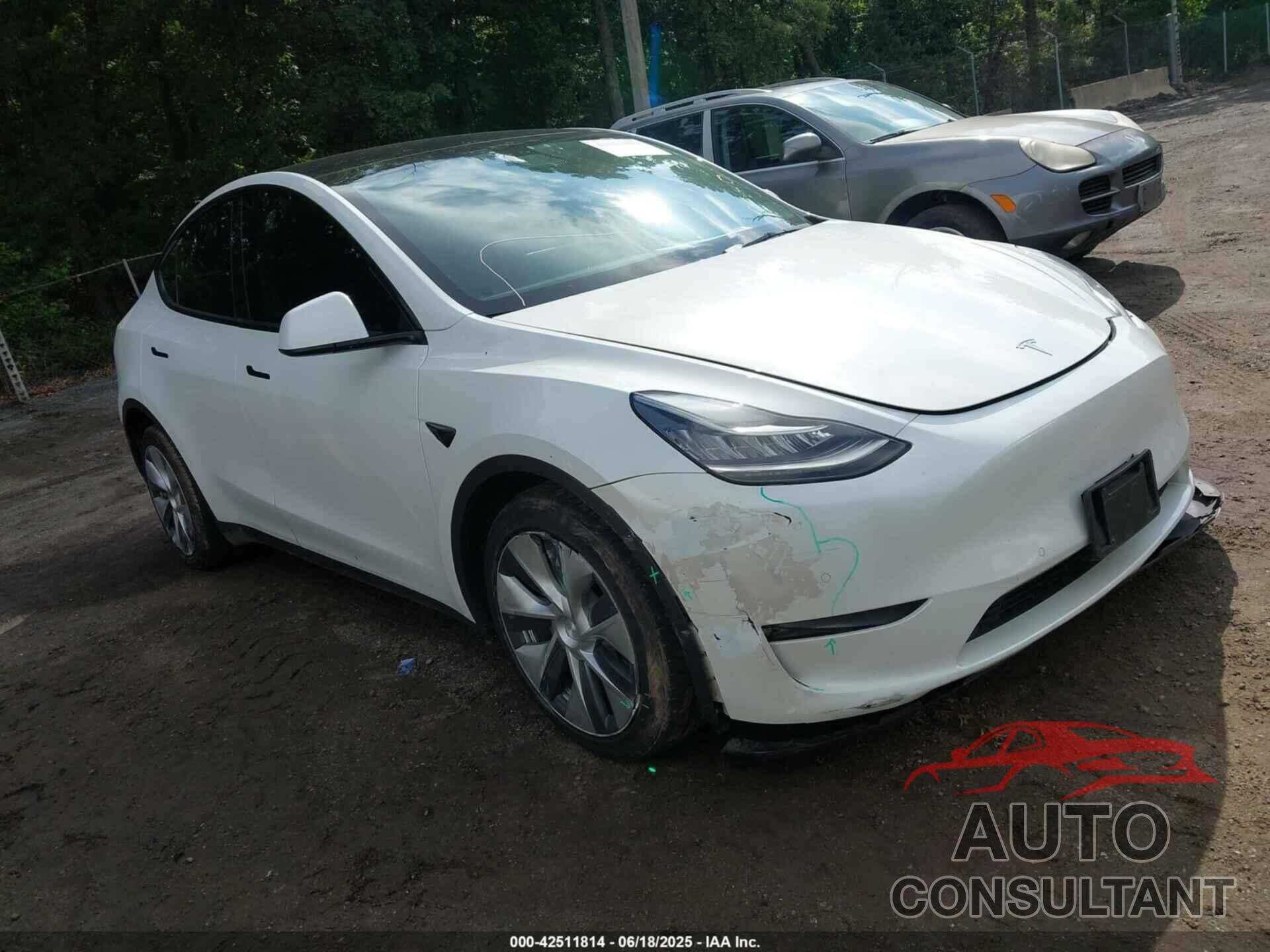 TESLA MODEL Y 2021 - 5YJYGDEE1MF302060