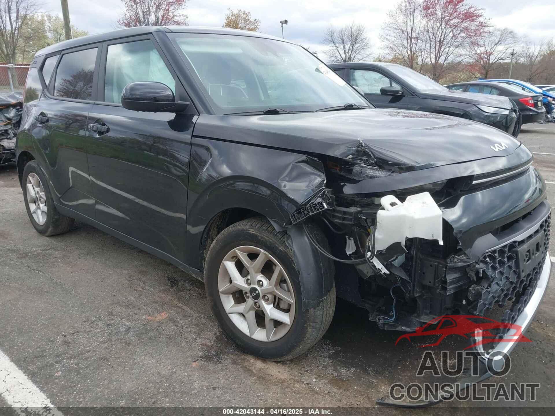 KIA SOUL 2022 - KNDJ23AU5N7183489