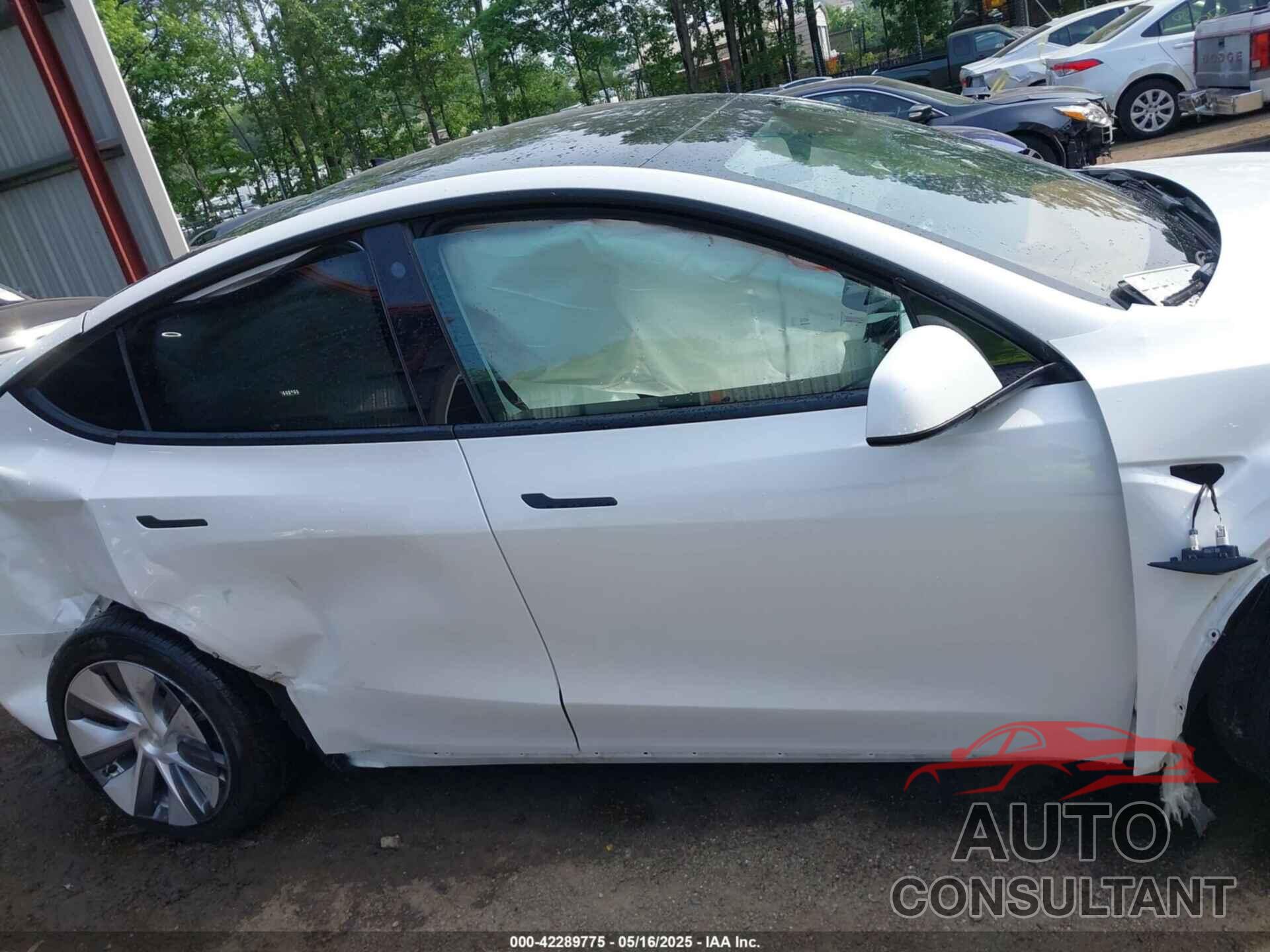 TESLA MODEL Y 2021 - 5YJYGAED8MF173496