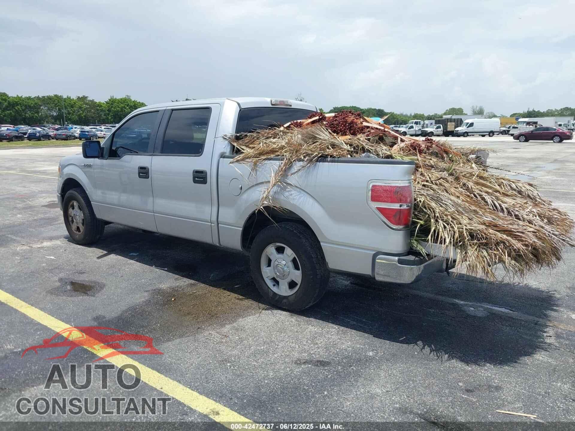 FORD F-150 2013 - 1FTFW1CF5DFB73224