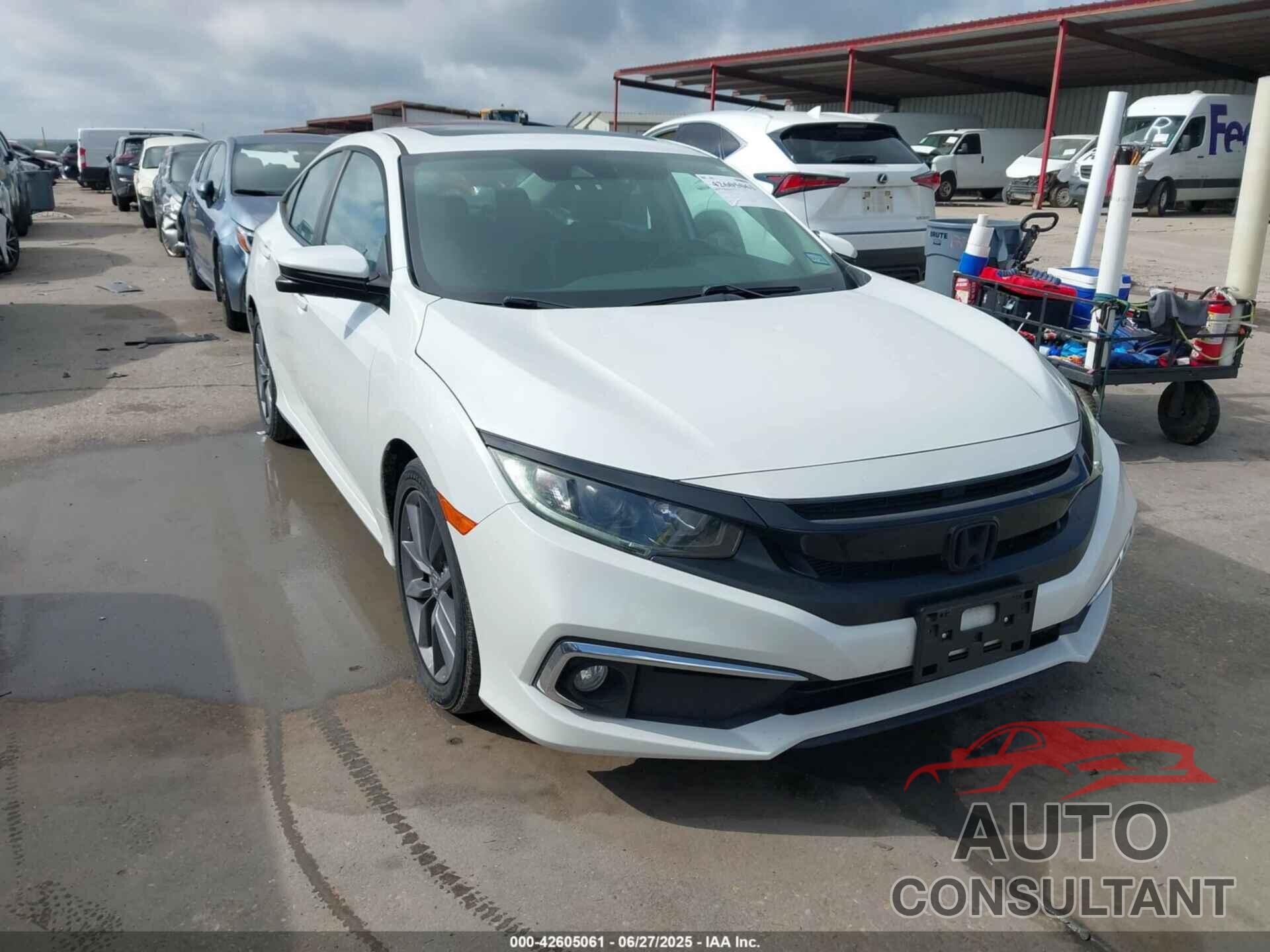 HONDA CIVIC 2019 - 19XFC1F77KE005606