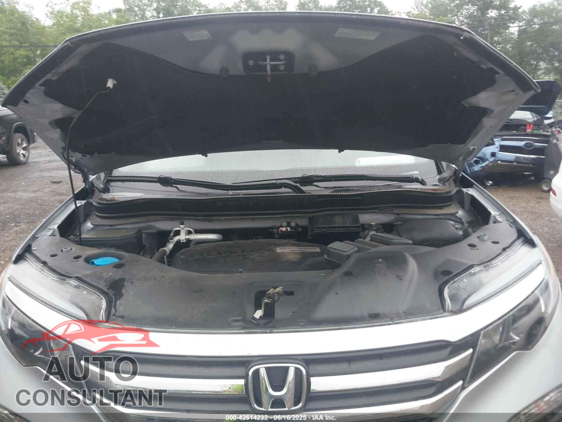 HONDA PILOT 2018 - 5FNYF6H36JB046955