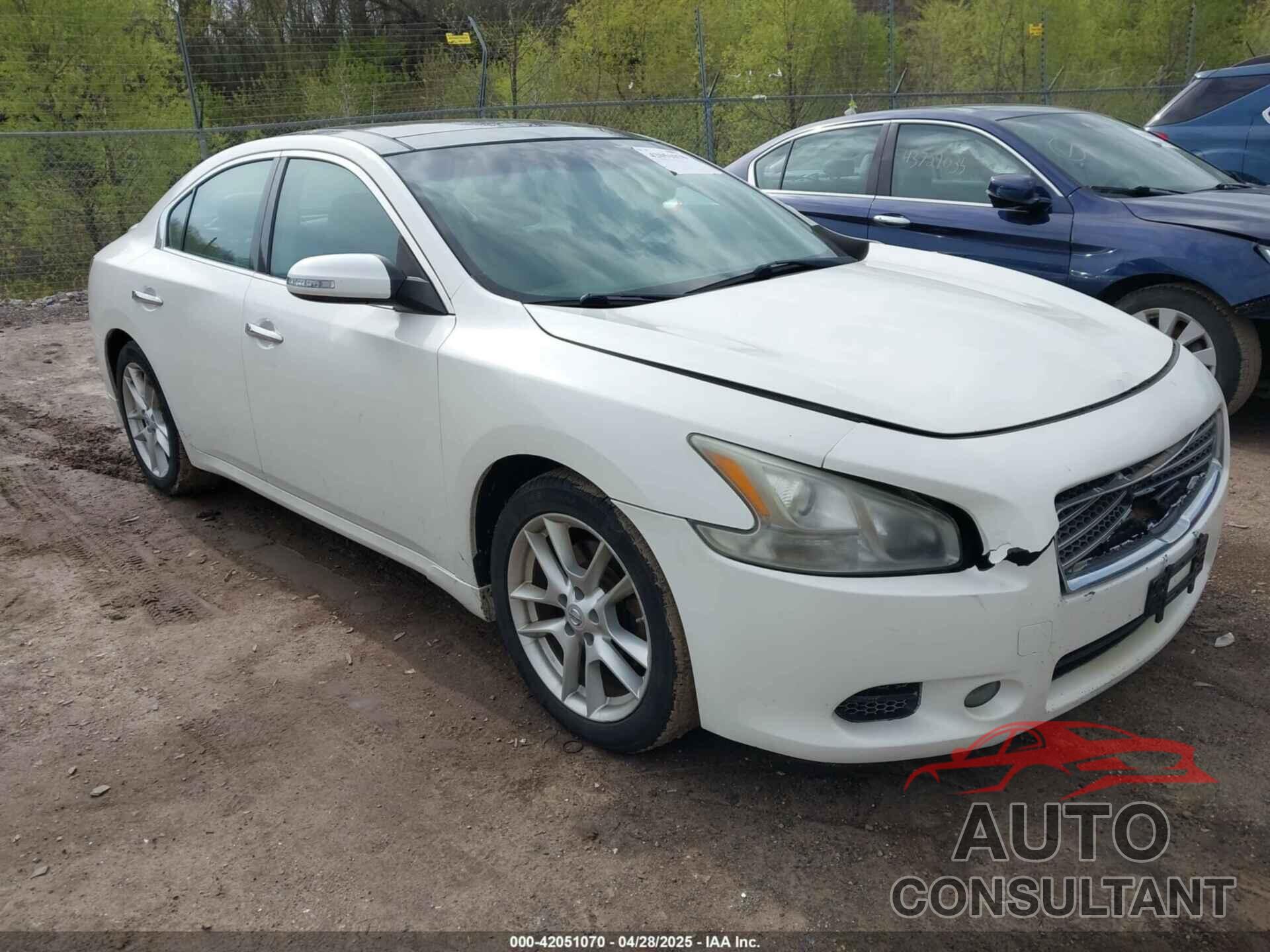 NISSAN MAXIMA 2011 - 1N4AA5AP5BC843869