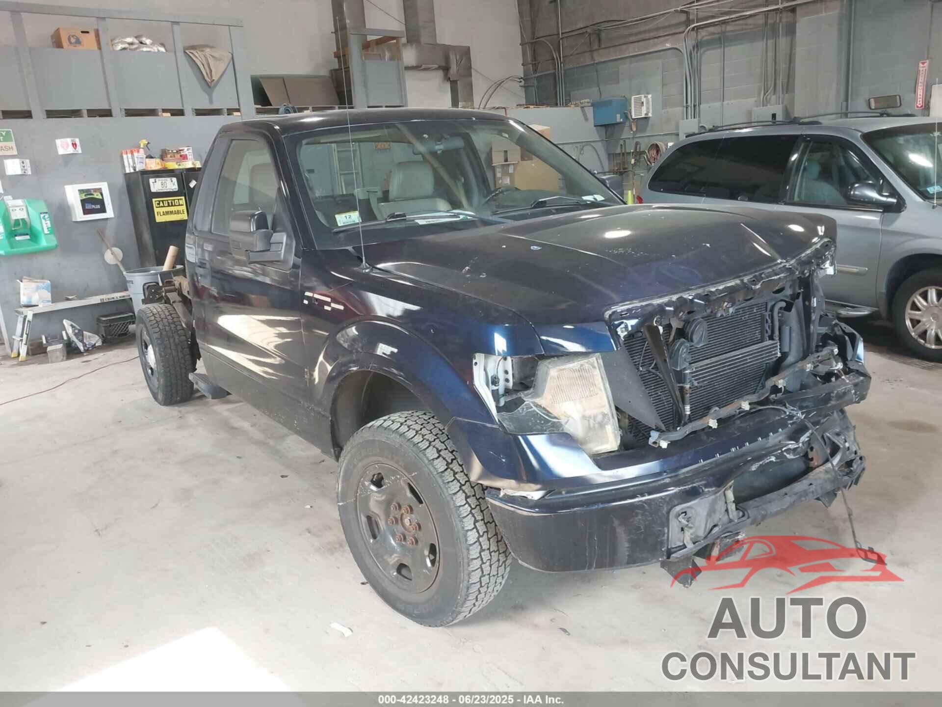 FORD F-150 2009 - 1FTRF14WX9KB87999