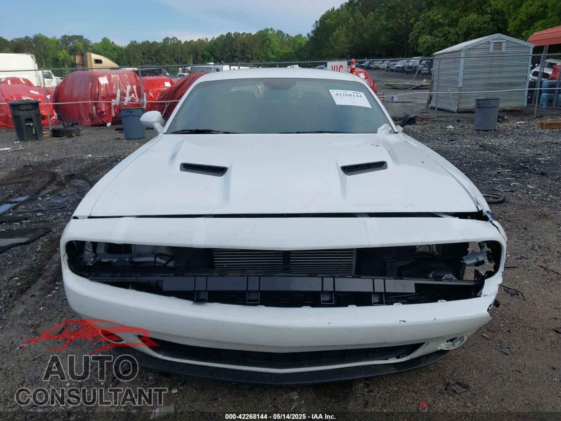 DODGE CHALLENGER 2019 - 2C3CDZAG4KH744611