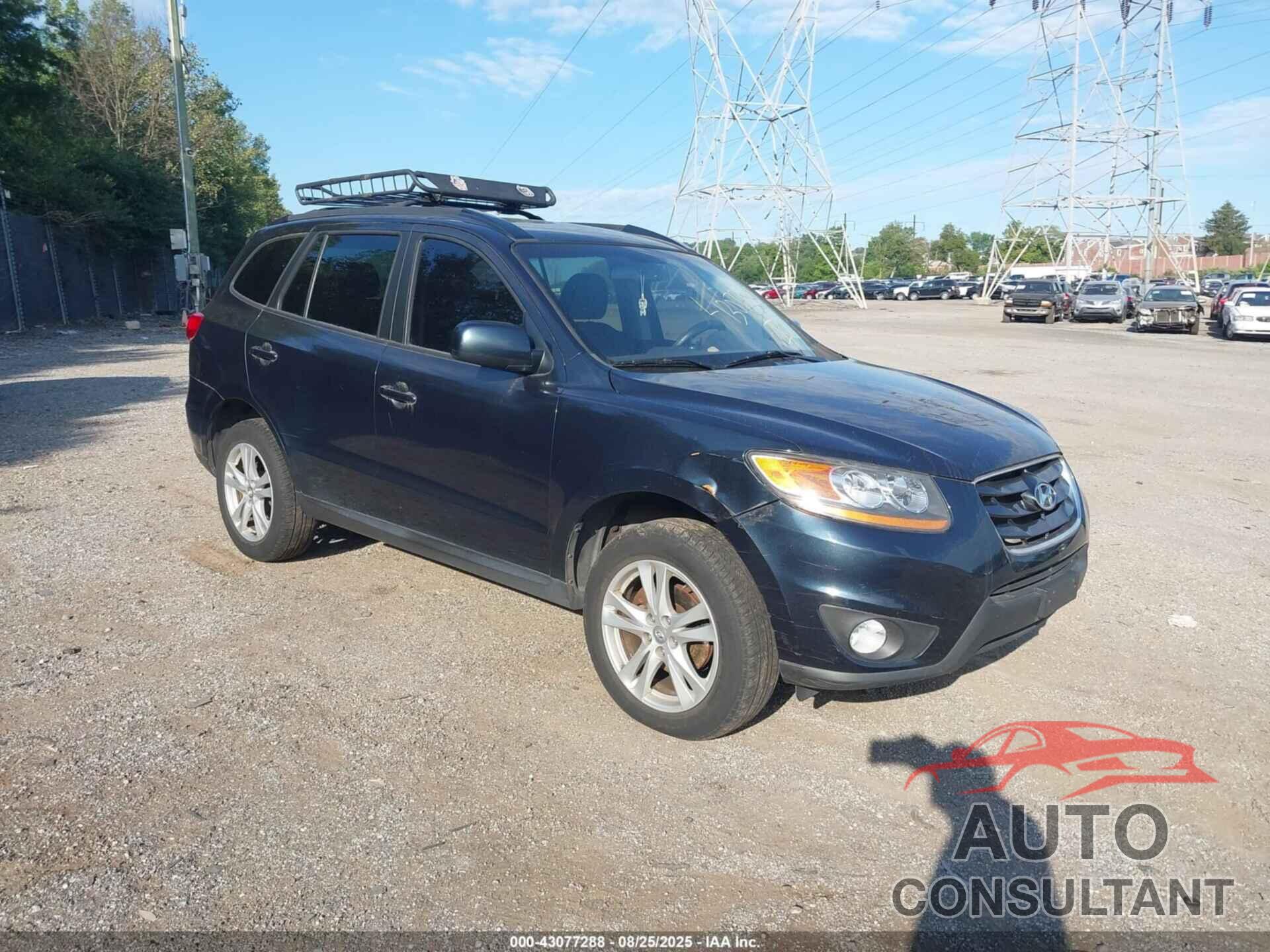 HYUNDAI SANTA FE 2010 - 5NMSHDAG0AH341727