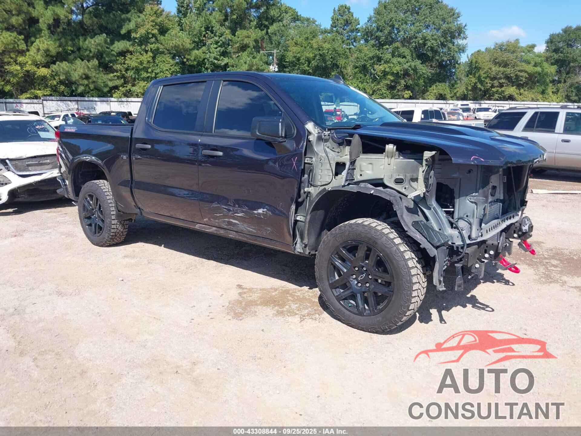 CHEVROLET SILVERADO 1500 2023 - 3GCPDCEK7PG364291