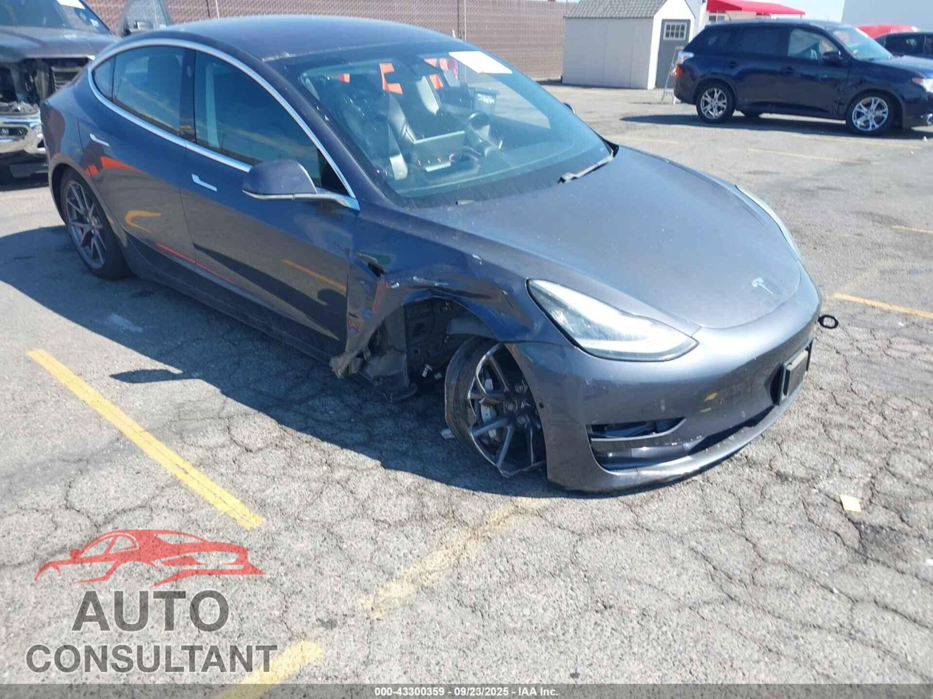 TESLA MODEL 3 2018 - 5YJ3E1EA8JF156702
