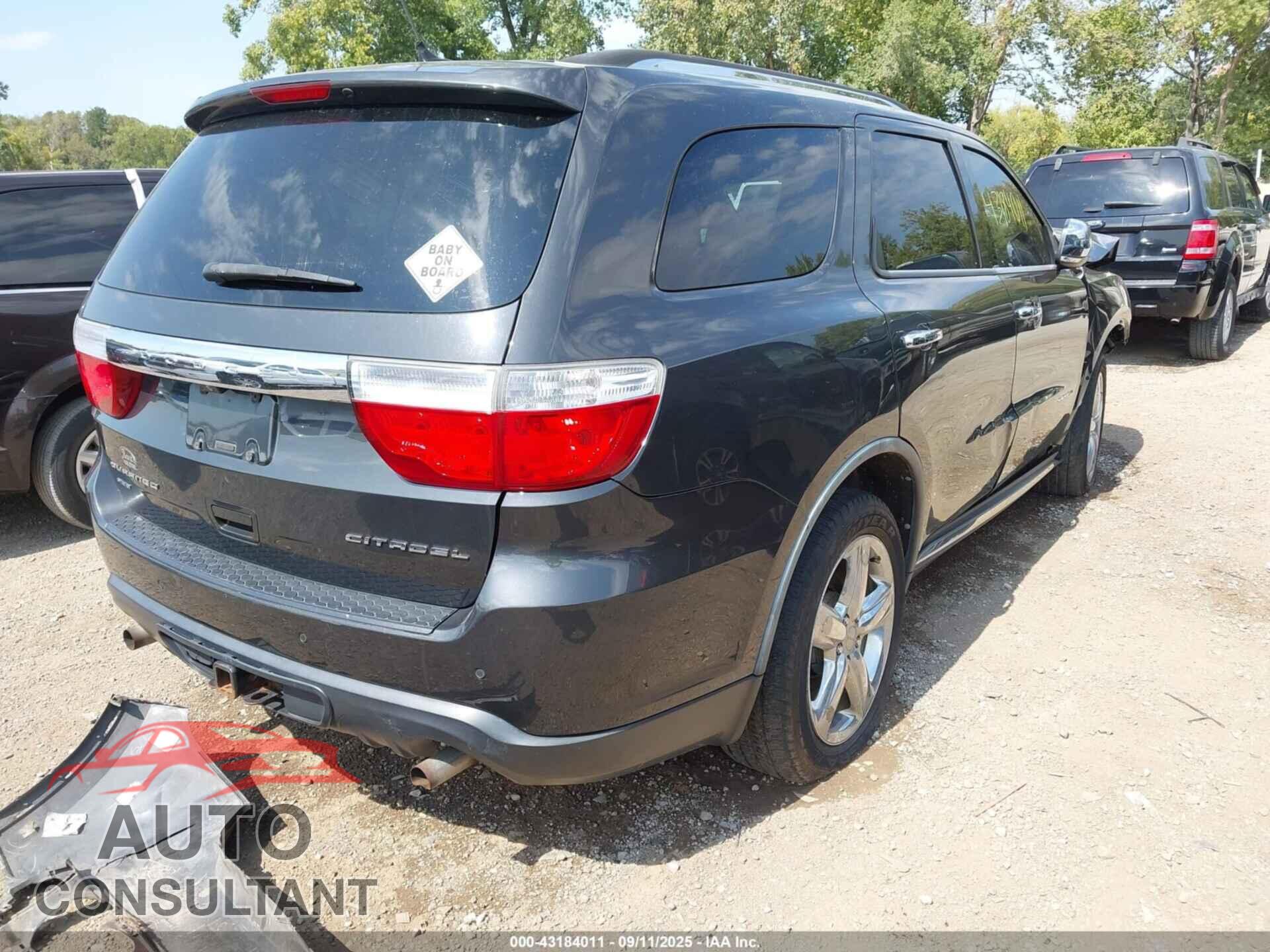 DODGE DURANGO 2011 - 1D4SE5GT7BC712324