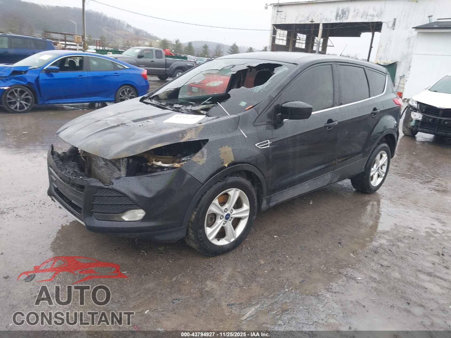 FORD ESCAPE 2014 - 1FMCU9GX4EUC18351