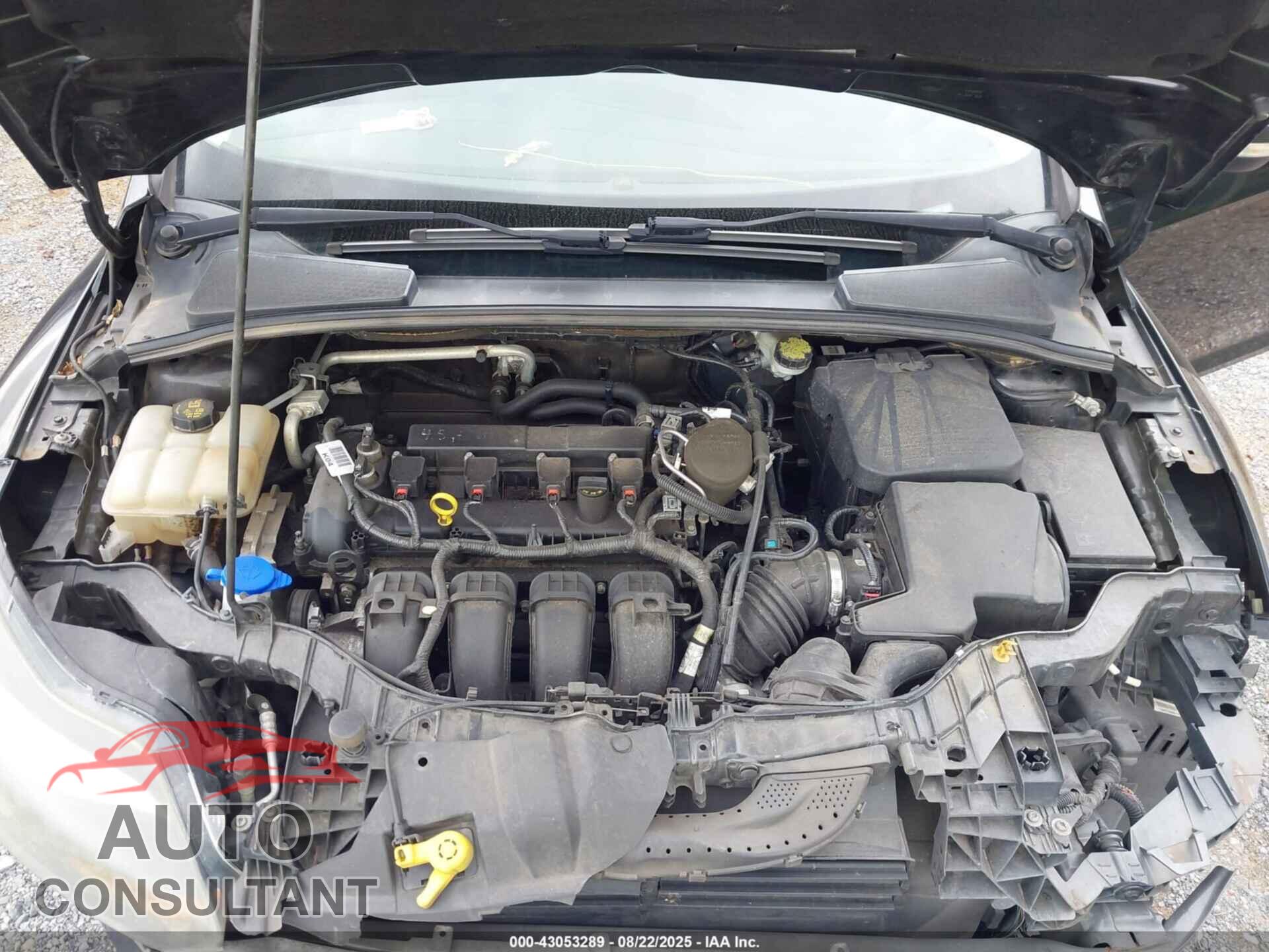 FORD FOCUS 2014 - 1FADP3N23EL417603