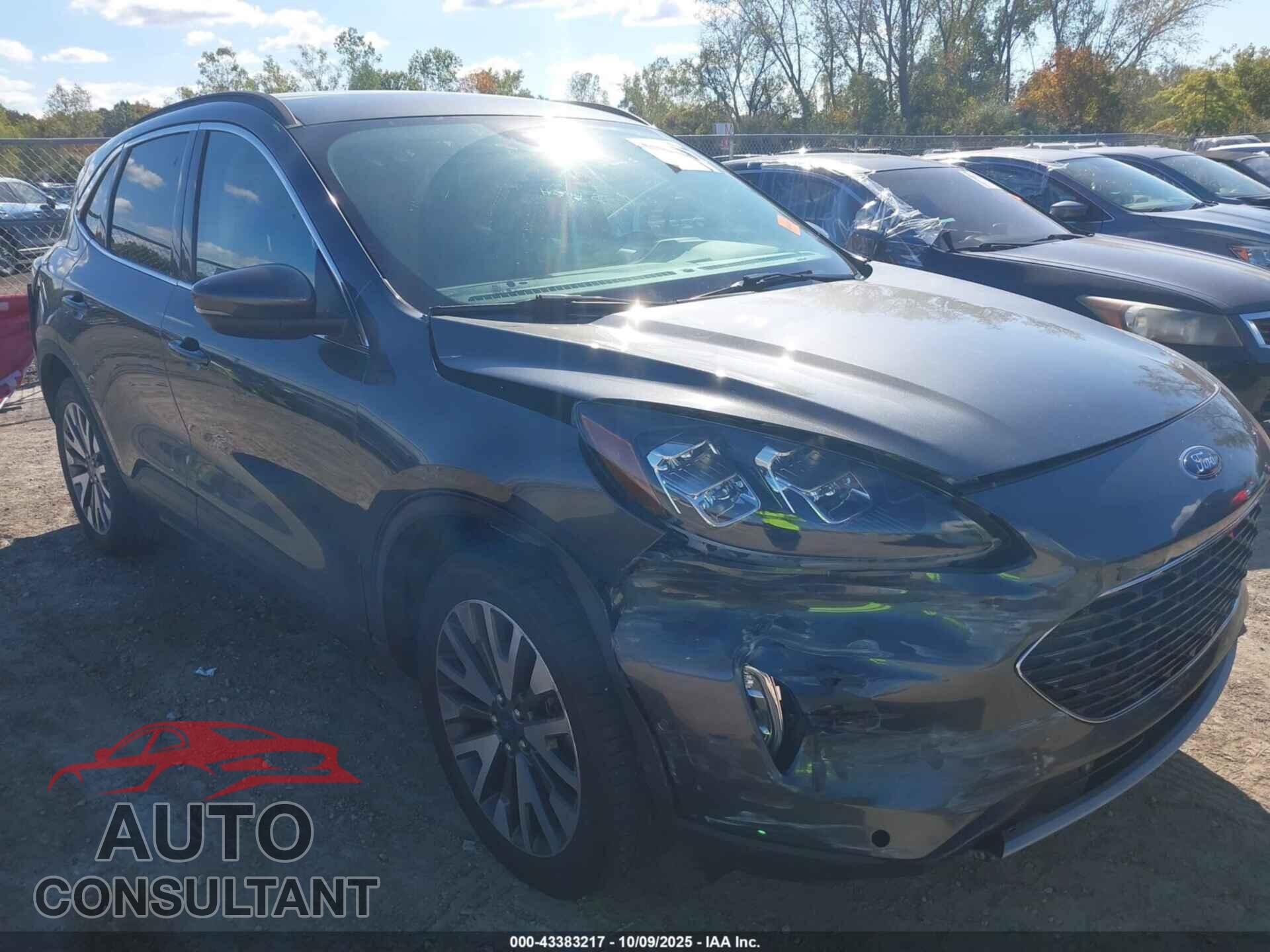FORD ESCAPE 2020 - 1FMCU9J90LUA80914